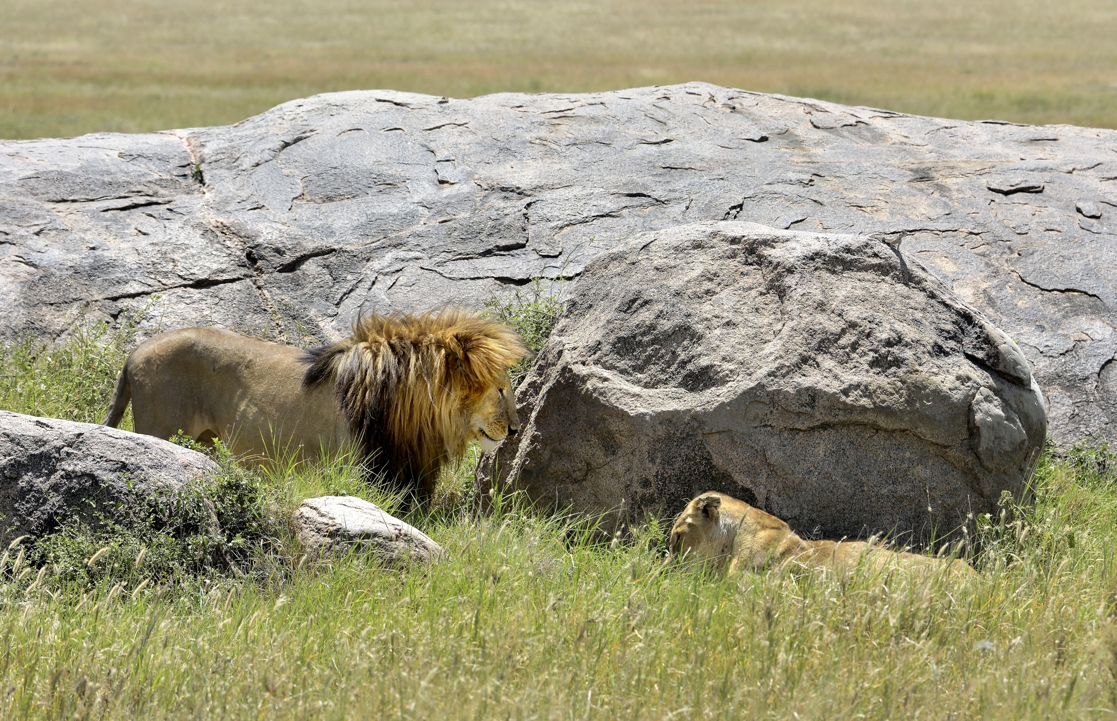 Tanzania 2015 - Che famo?