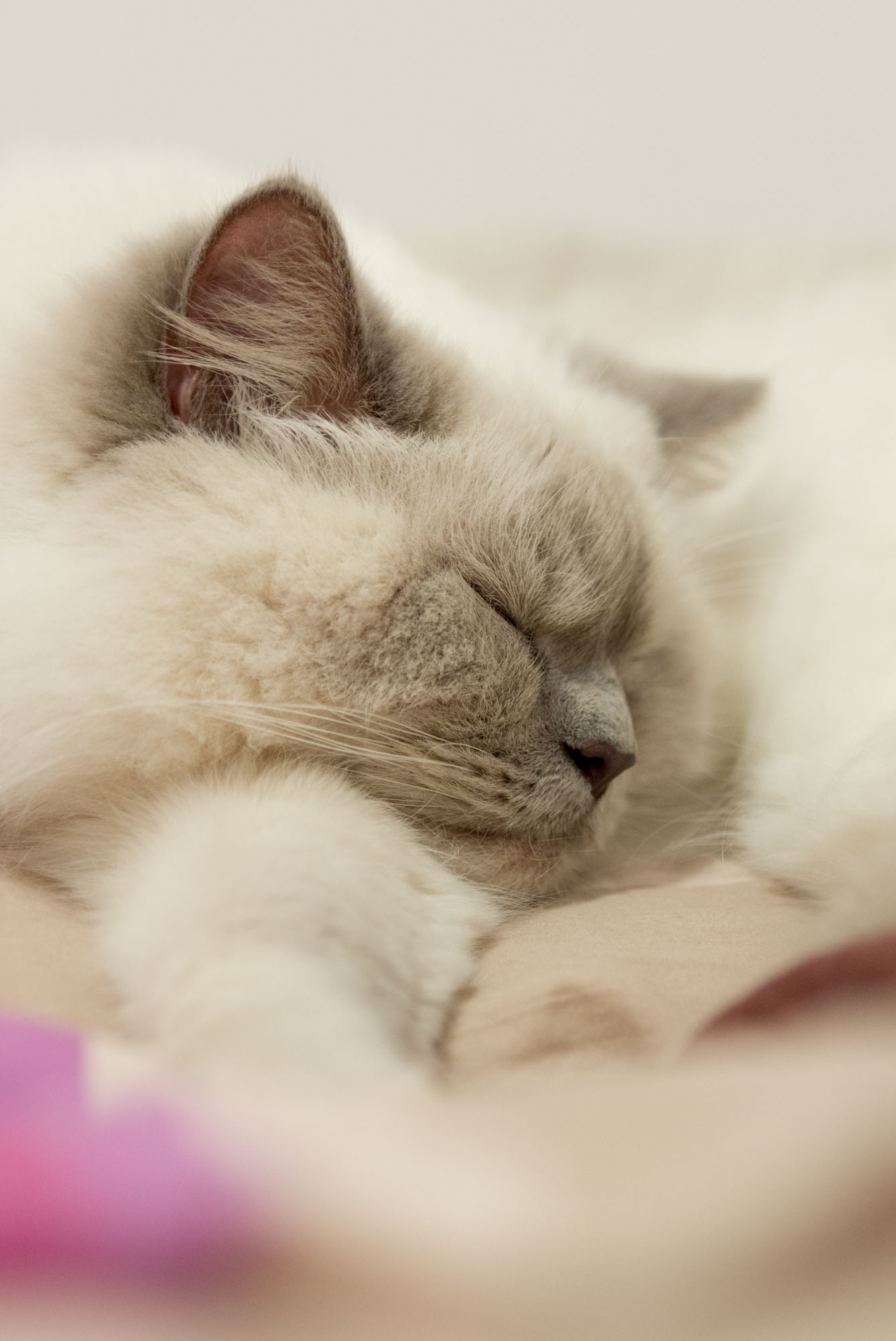 Nel sonno profondo!!!