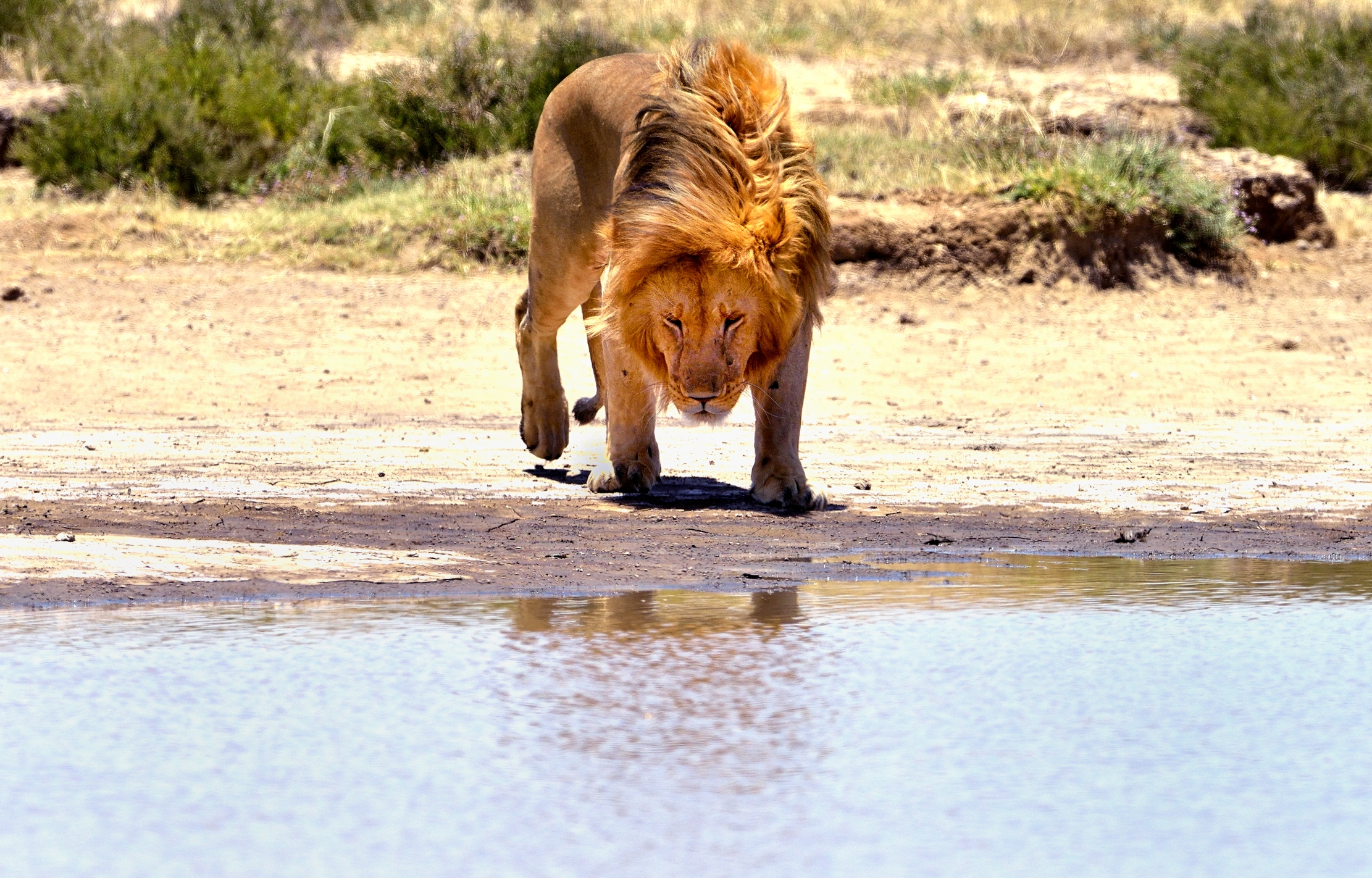 Tanzania 2015 - A bere