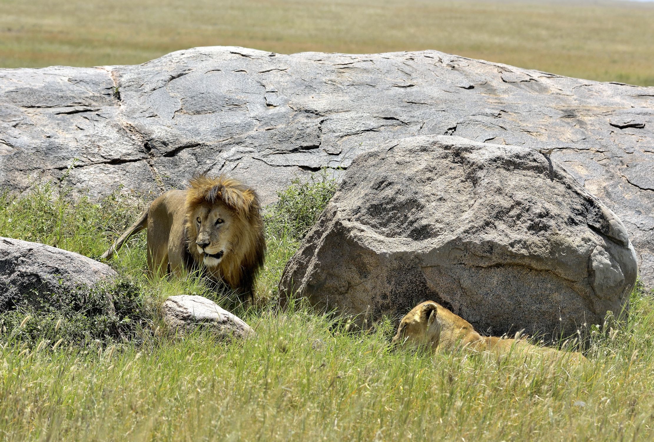 Tanzania 2015 - Leo e Lei