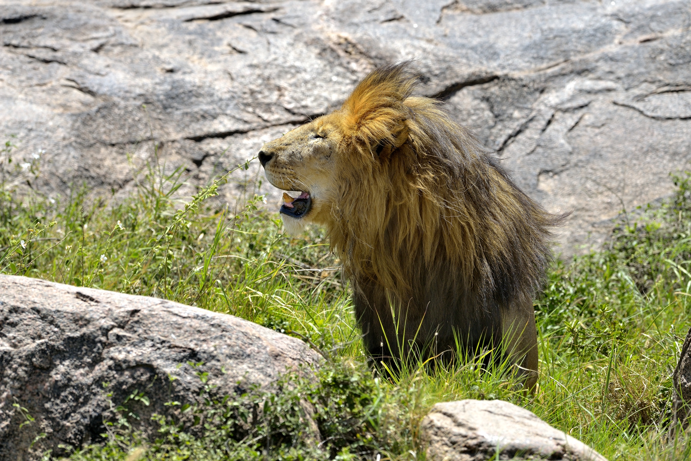 Tanzania 2015 - Tra i sassi