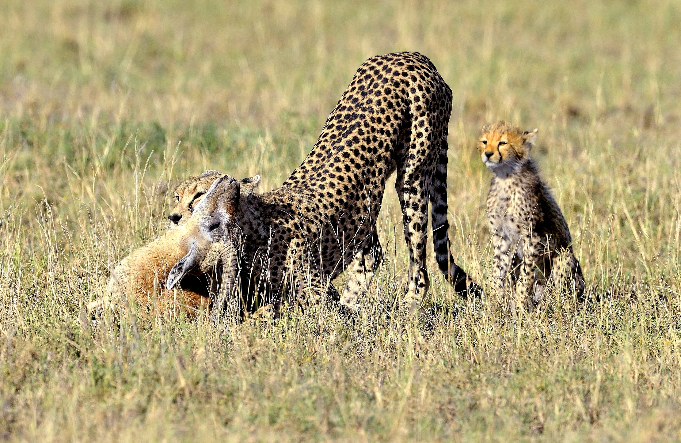 Tanzania 2015 - Prendo il pranzo