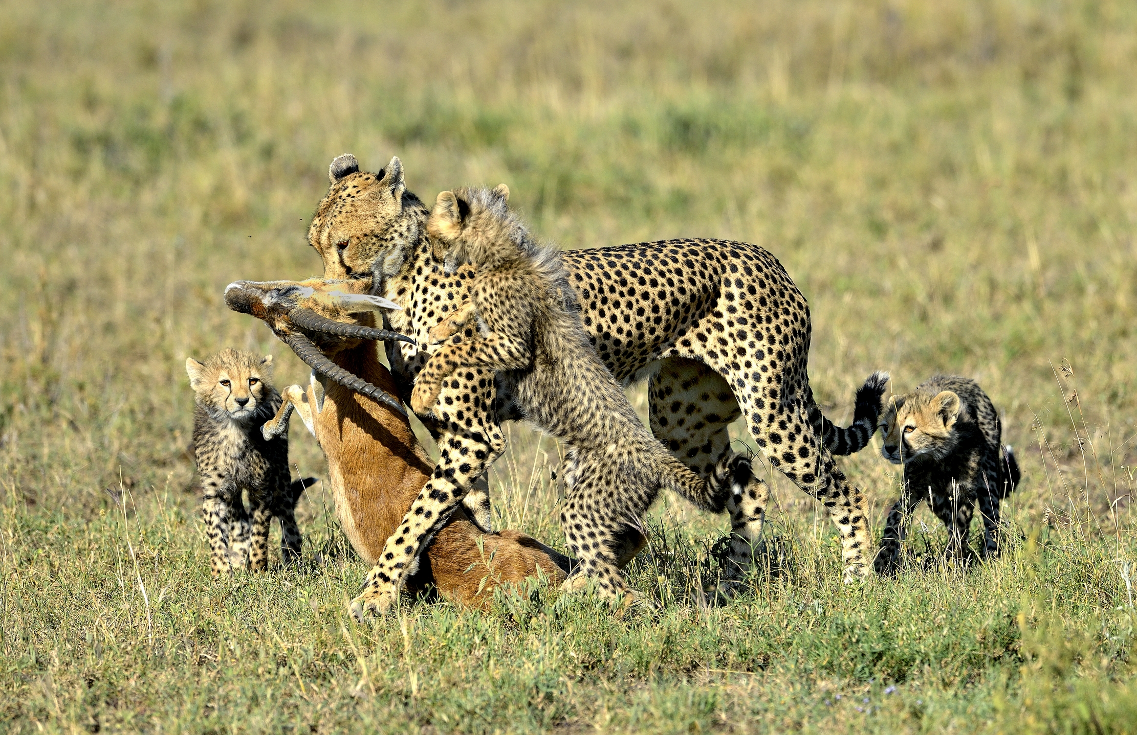 Tanzania 2015 - Il pranzo