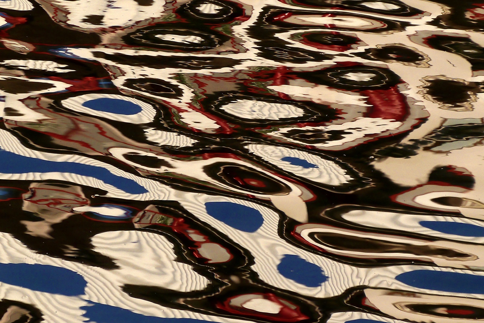 un tappeto di riflessi