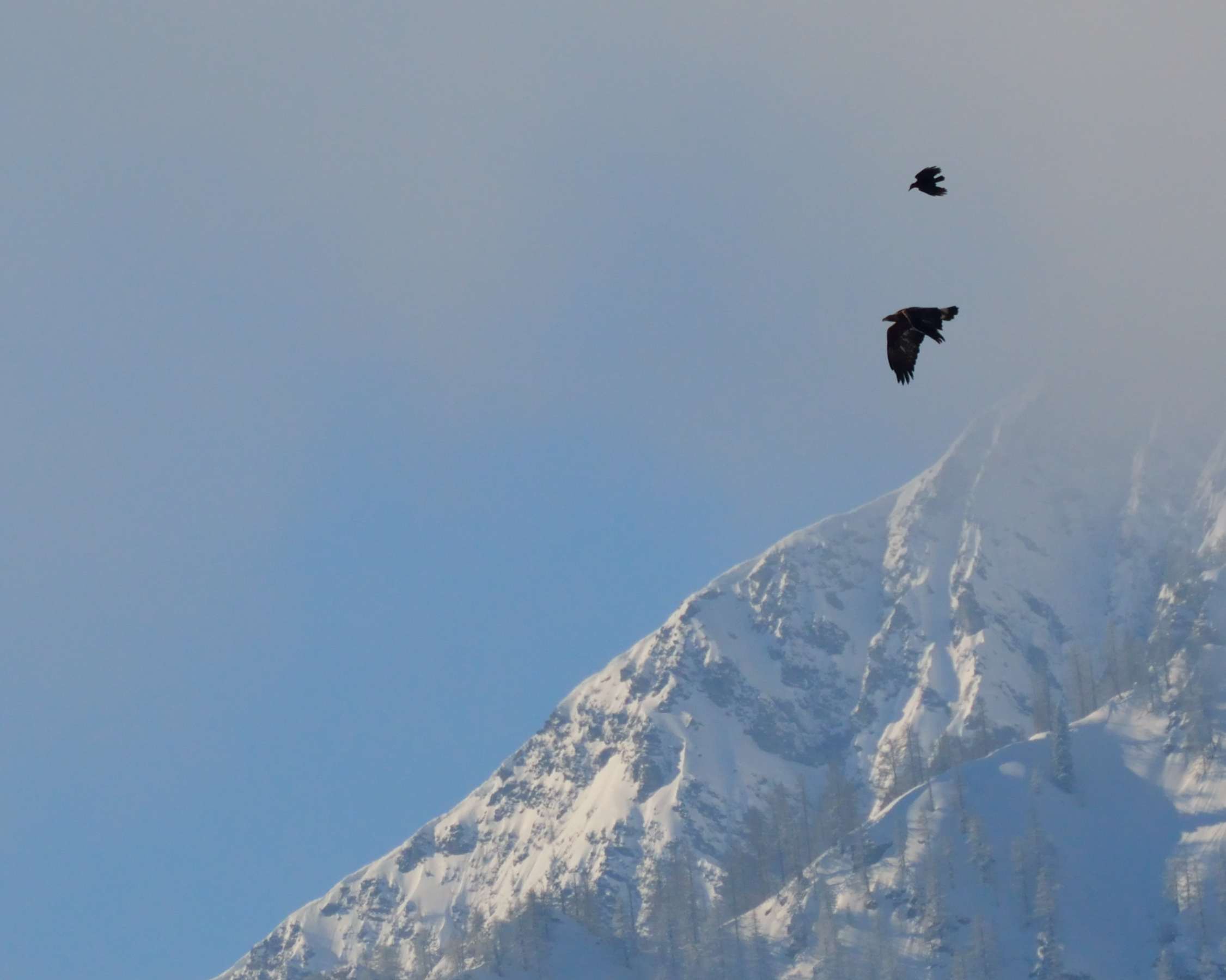 ....vediamo chi si stanca per prima