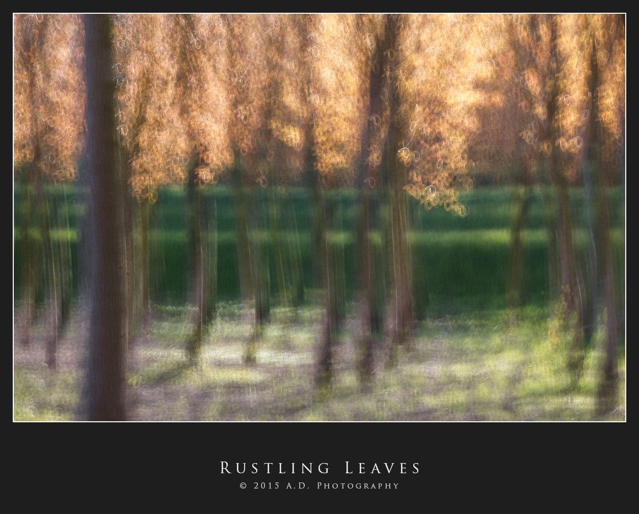 Rustling Leaves