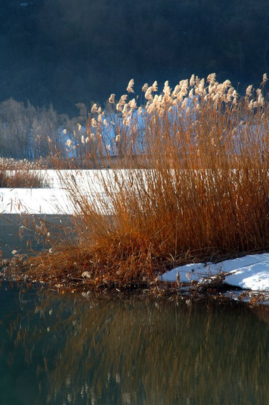 luci e colori del lago d'endine ( bg)
