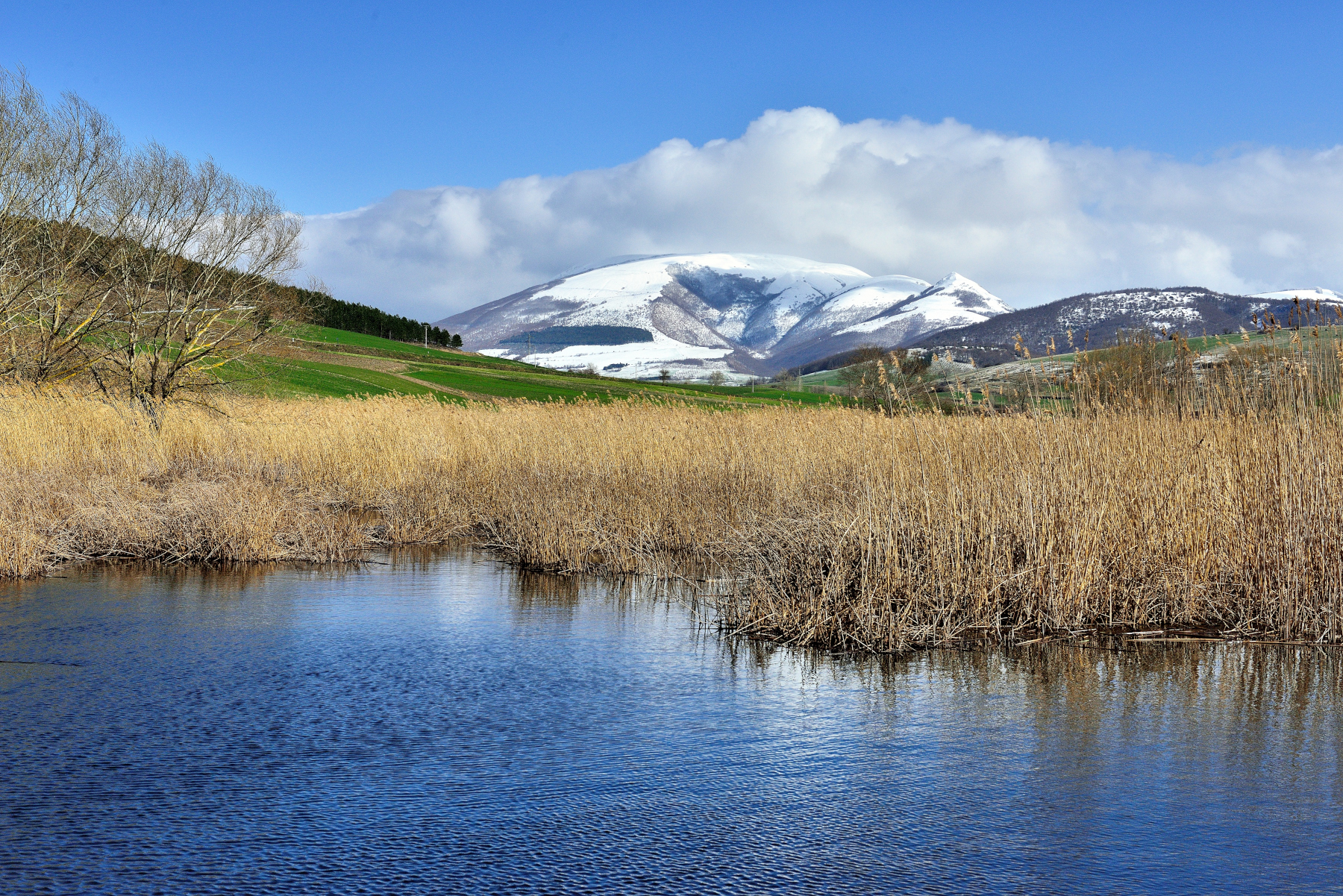 Dentro la palude - Parco di Colfiorito