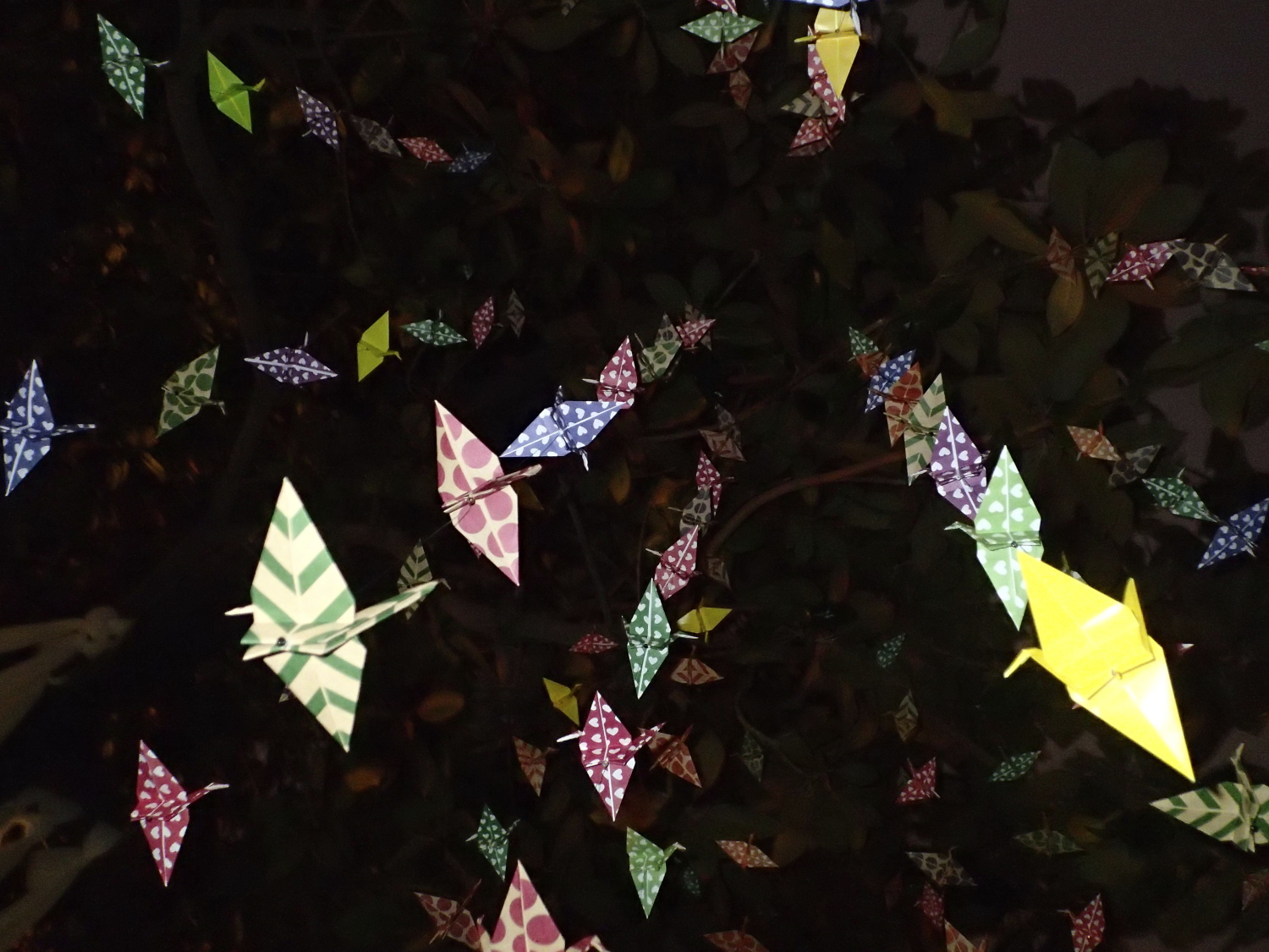 angolo delle foto con origami