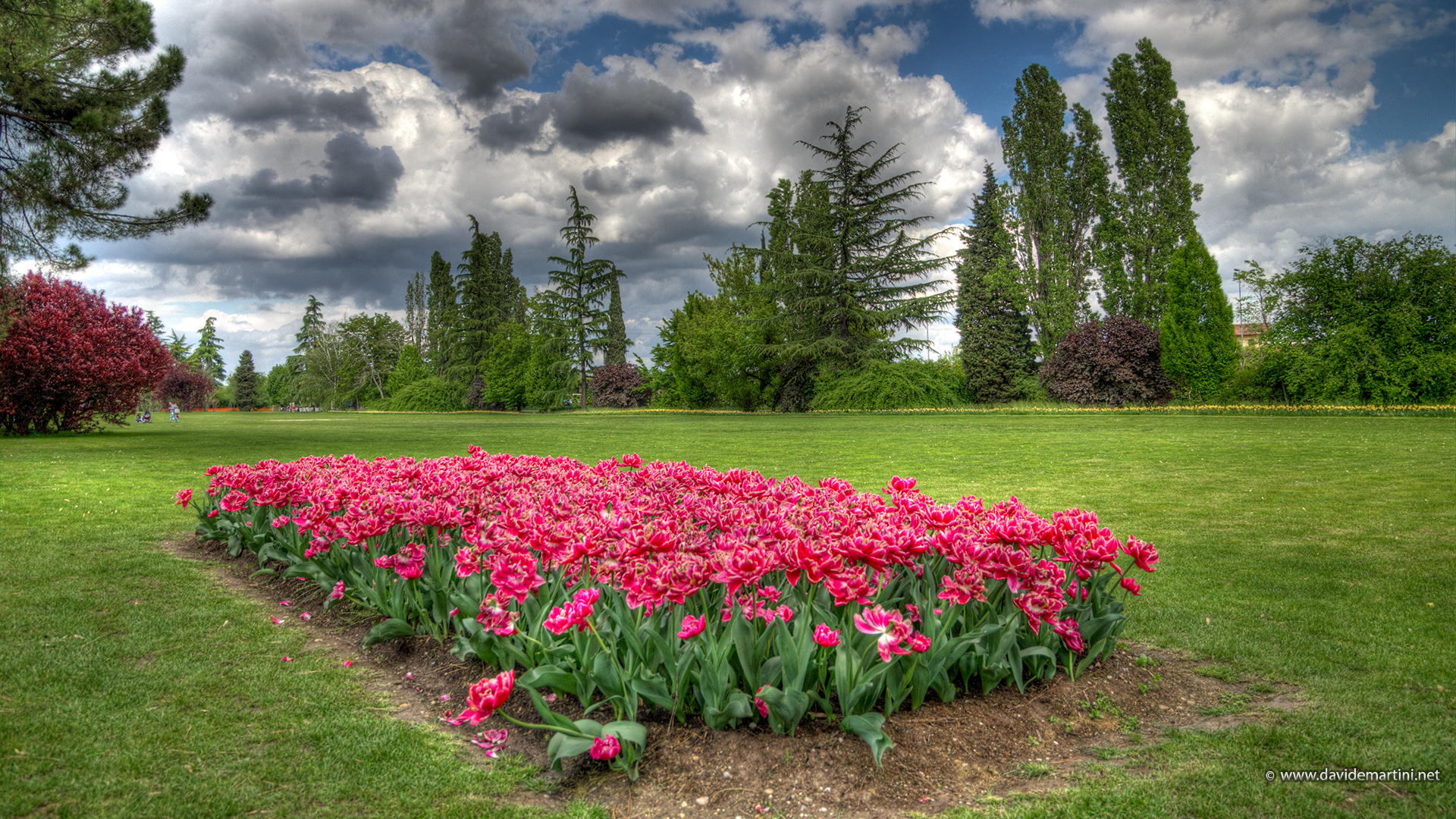 Tulipani - Parco Sigurtà
