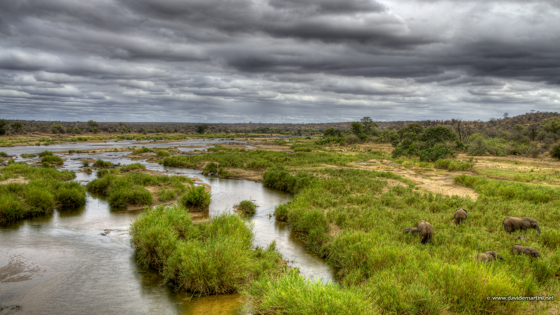 Crocodile River (knp, South Africa)