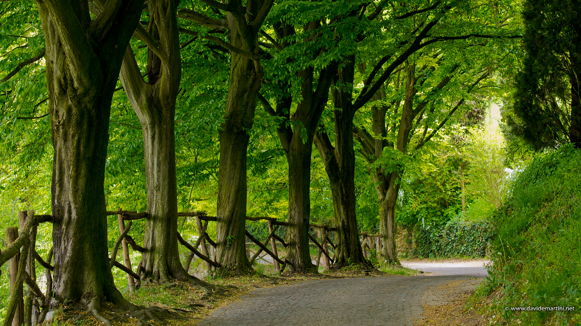 Passeggiata (Parco Sigurtà)