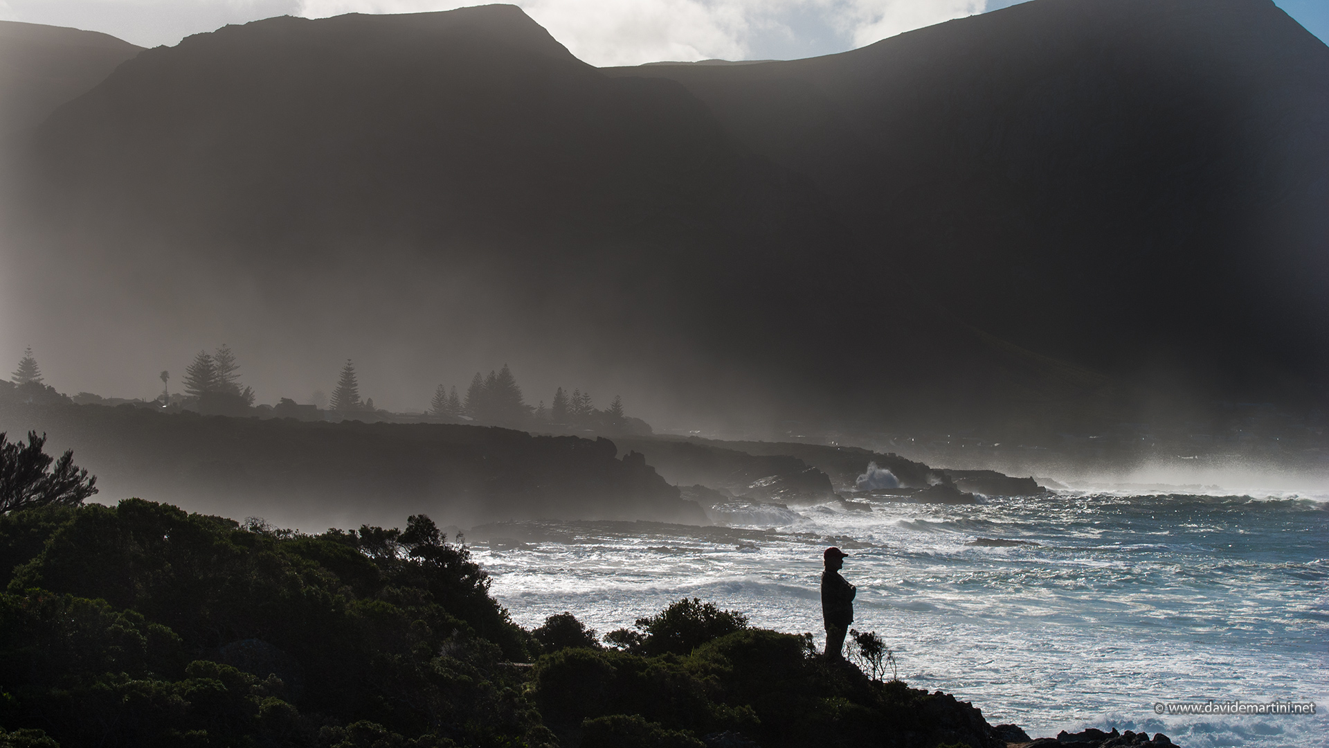 Looking to the sea (Hermanus, South Africa)