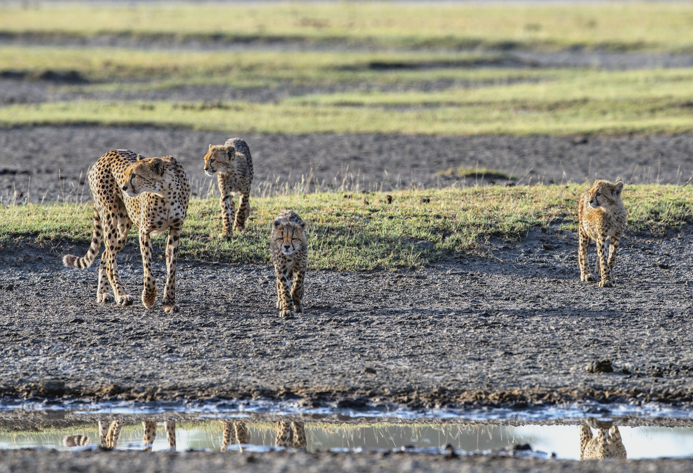 Tanzania 2015 - L'approssimarsi