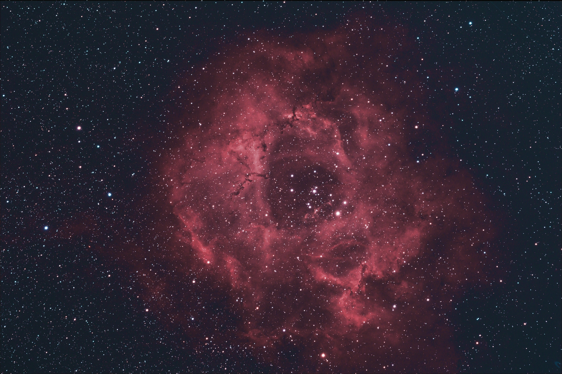 NGC 2237 Rosette Nebula