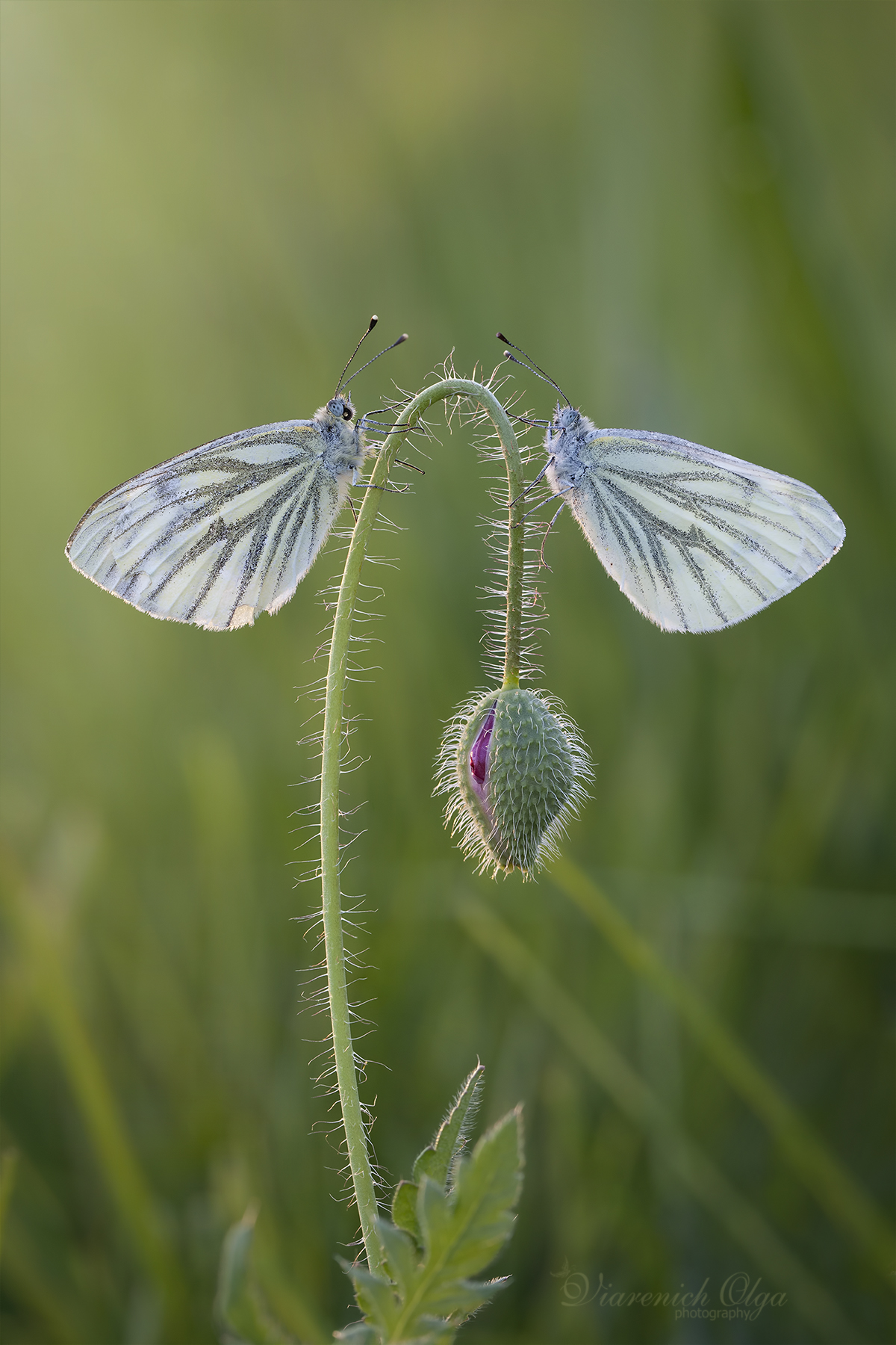 Io e te delicatamente