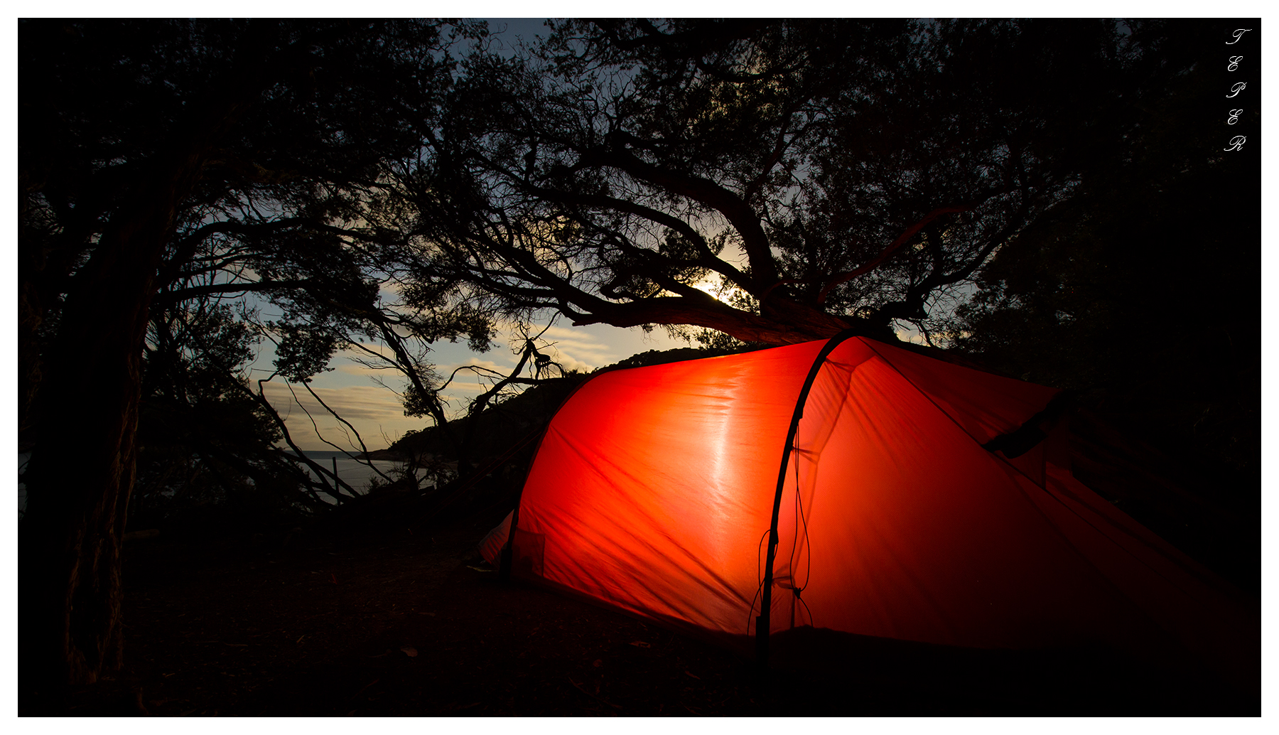Camping in the Moonlight