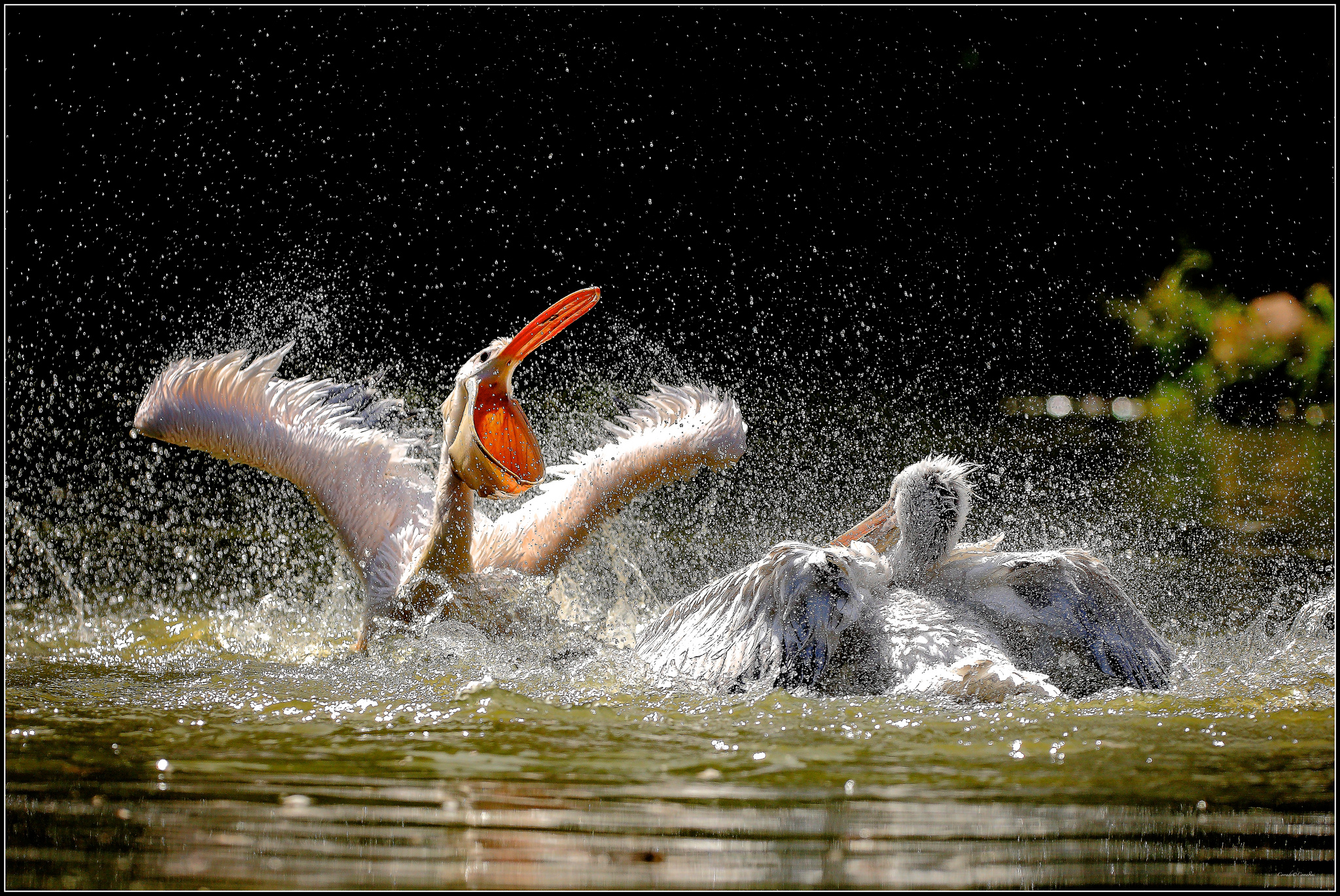 La teoria di Benjamin!1