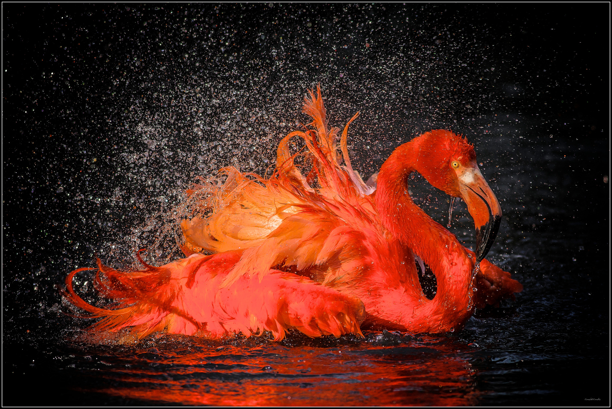 La teoria di Benjamin!4