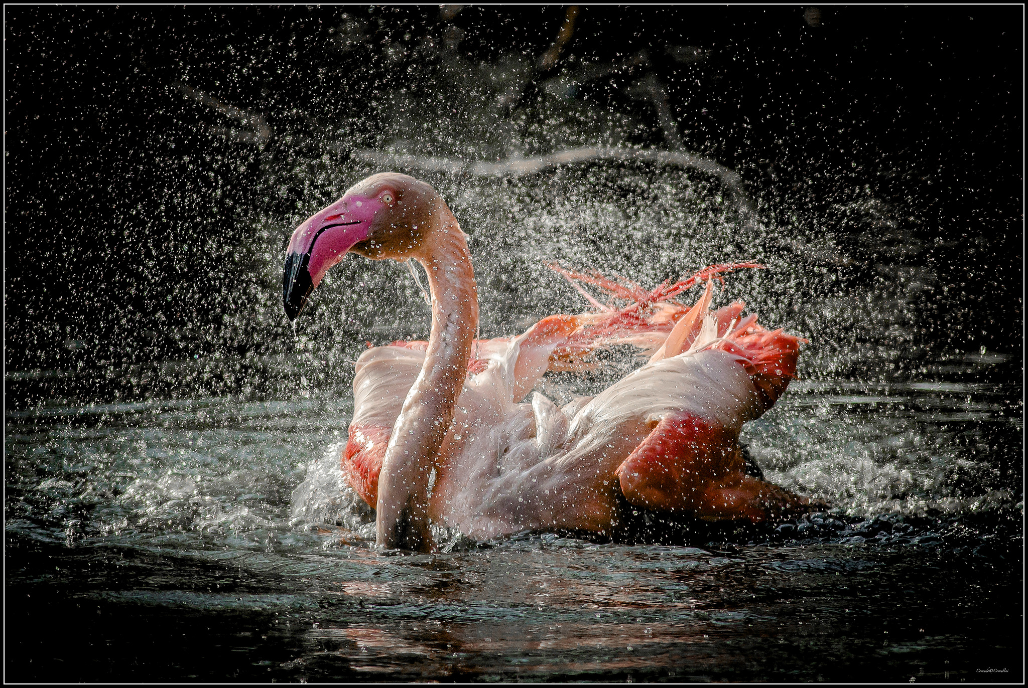 The theory of Benjamin! 8