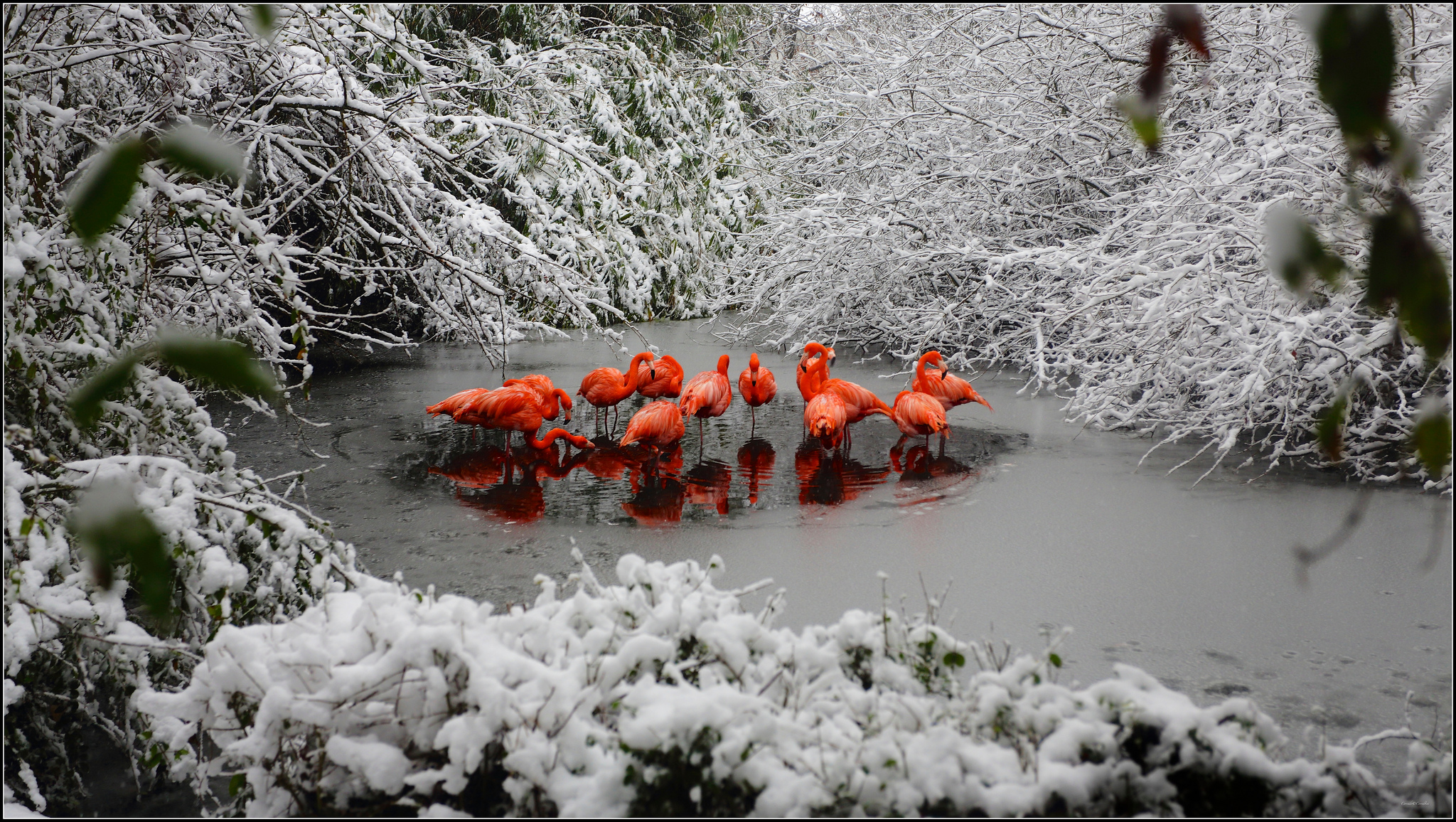 La teoria di Benjamin!9