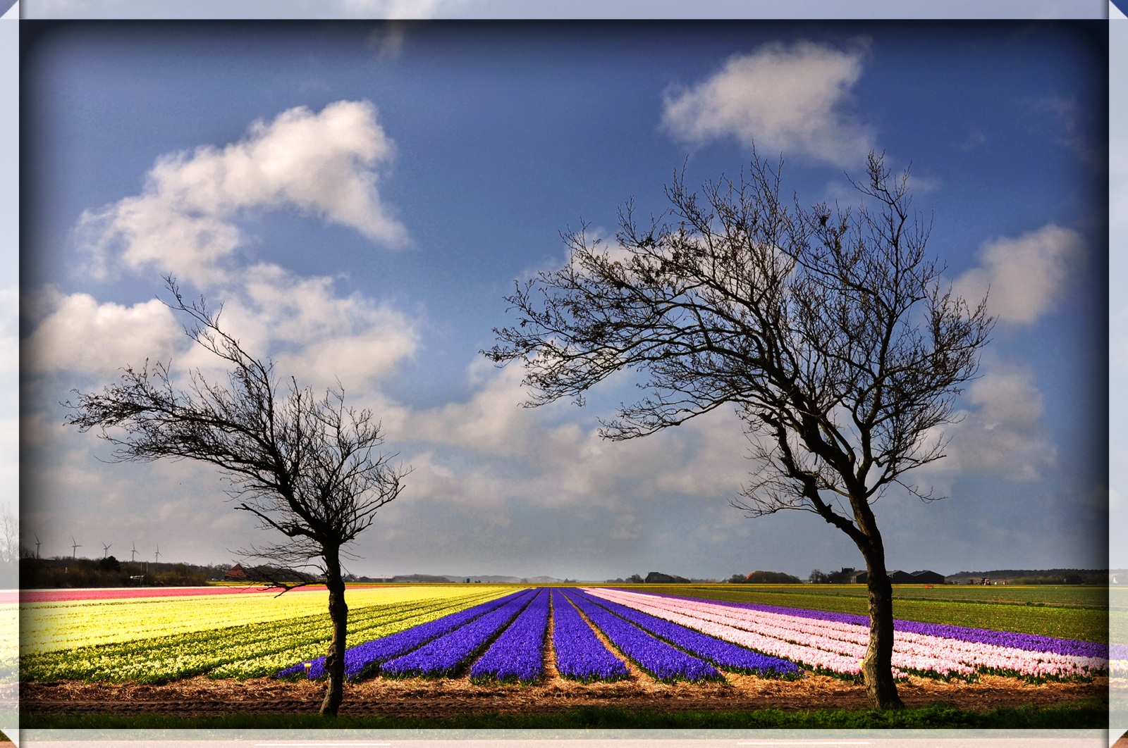 due... che è meglio