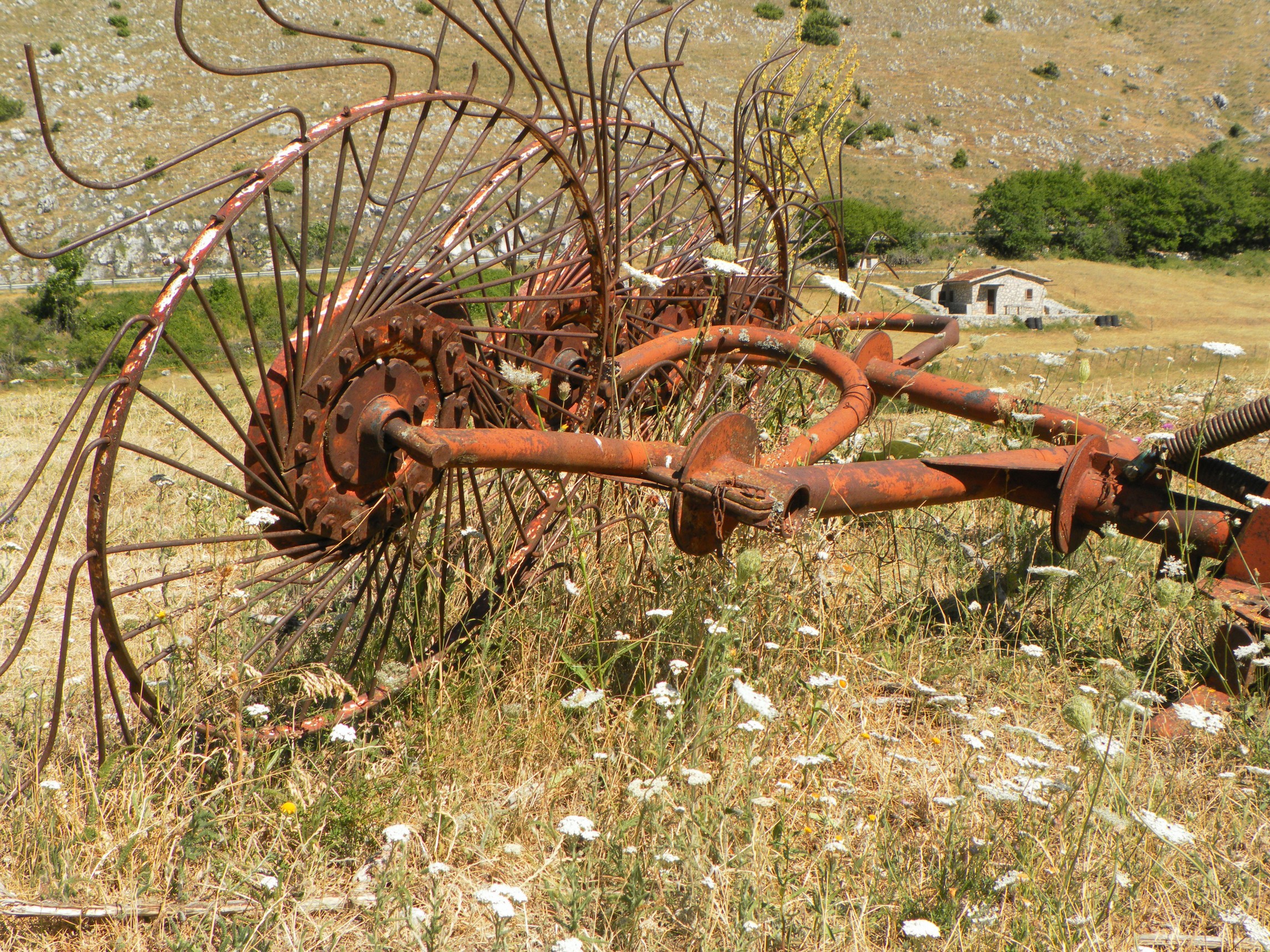 Abruzzo - Passo Godi : Old farm machinery.