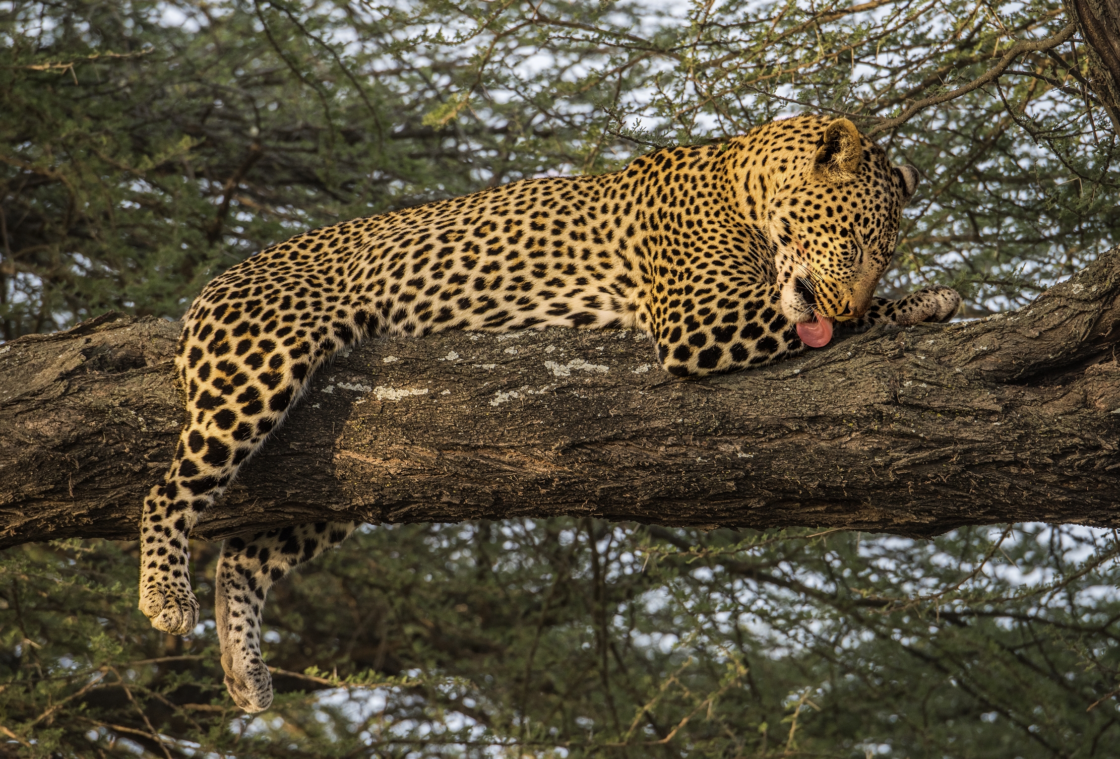 Tanzania 2015 - Pulizie