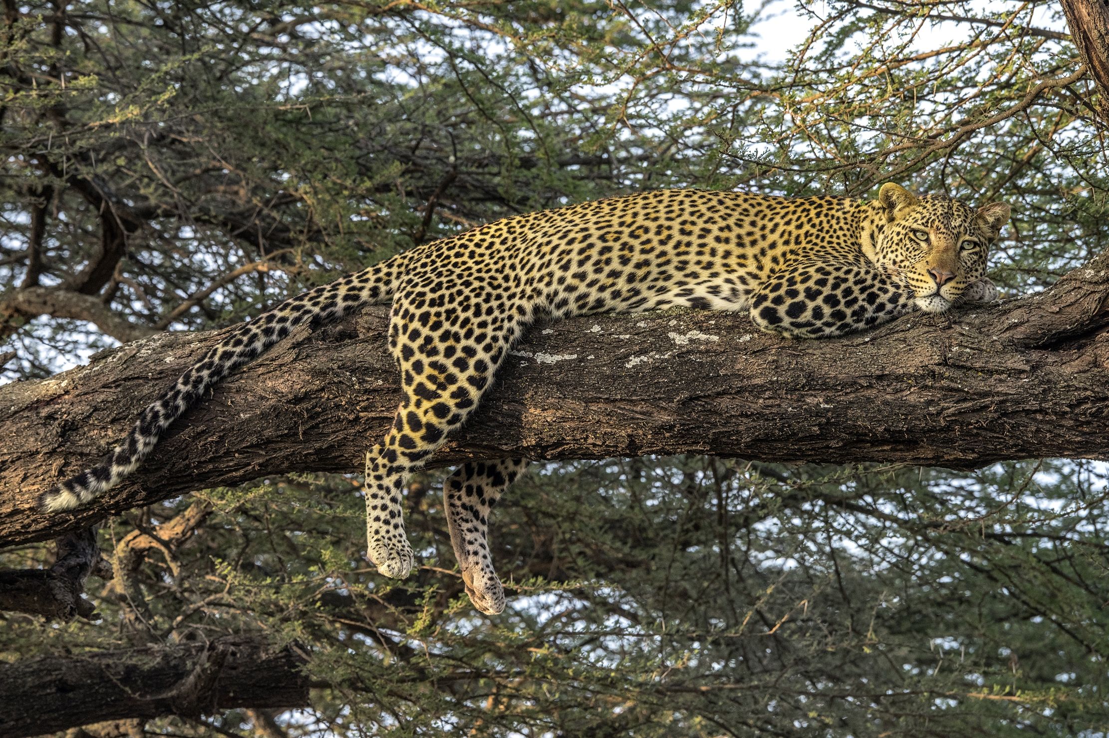 Tanzania 2015 - Relax