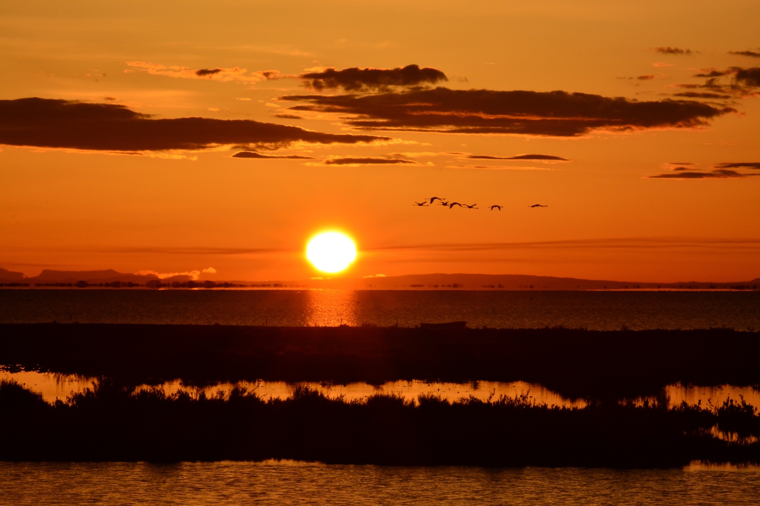 Sunrise in the Camargue
