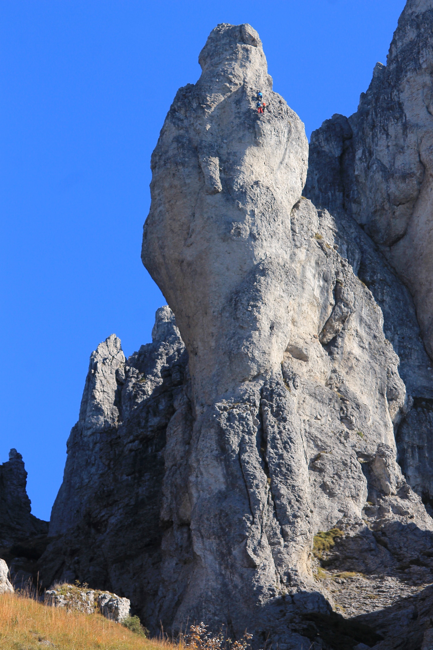 Arrampicapa on torione