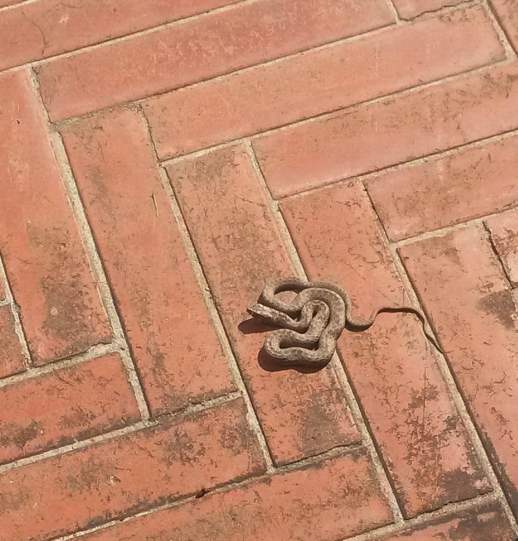 Who can tell me what it is ??