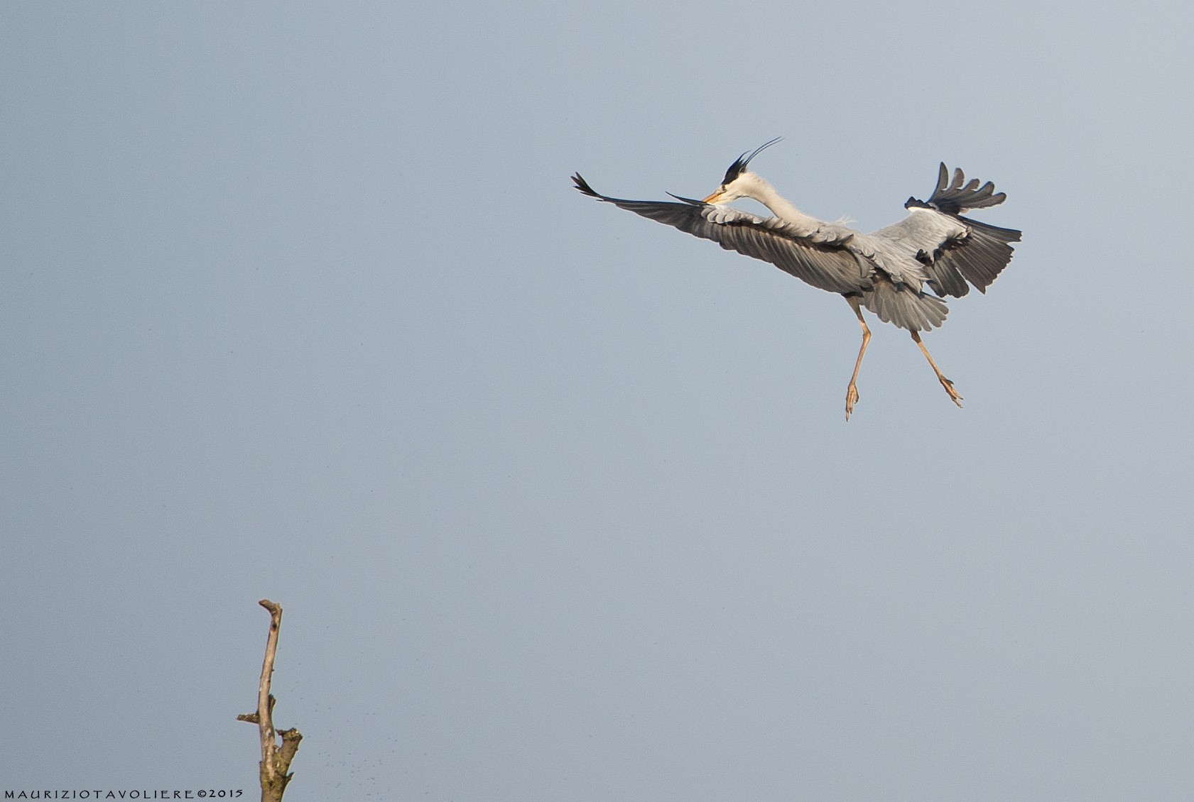 Landing between .. 5 .. 4 .. 3 .. !!