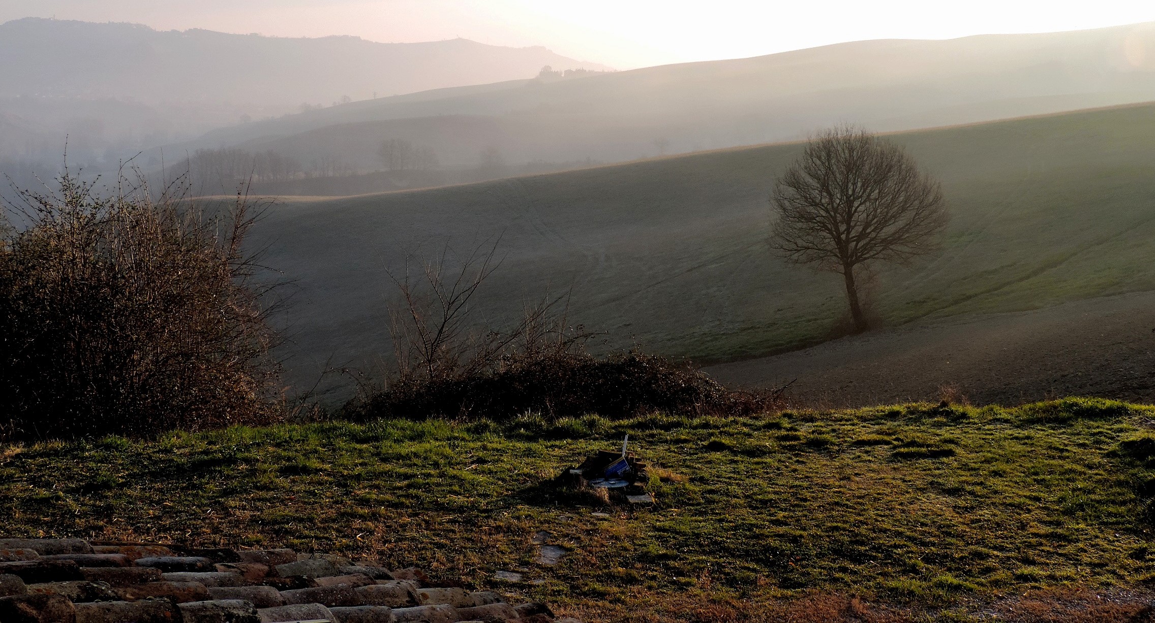 Mattina di Primavera