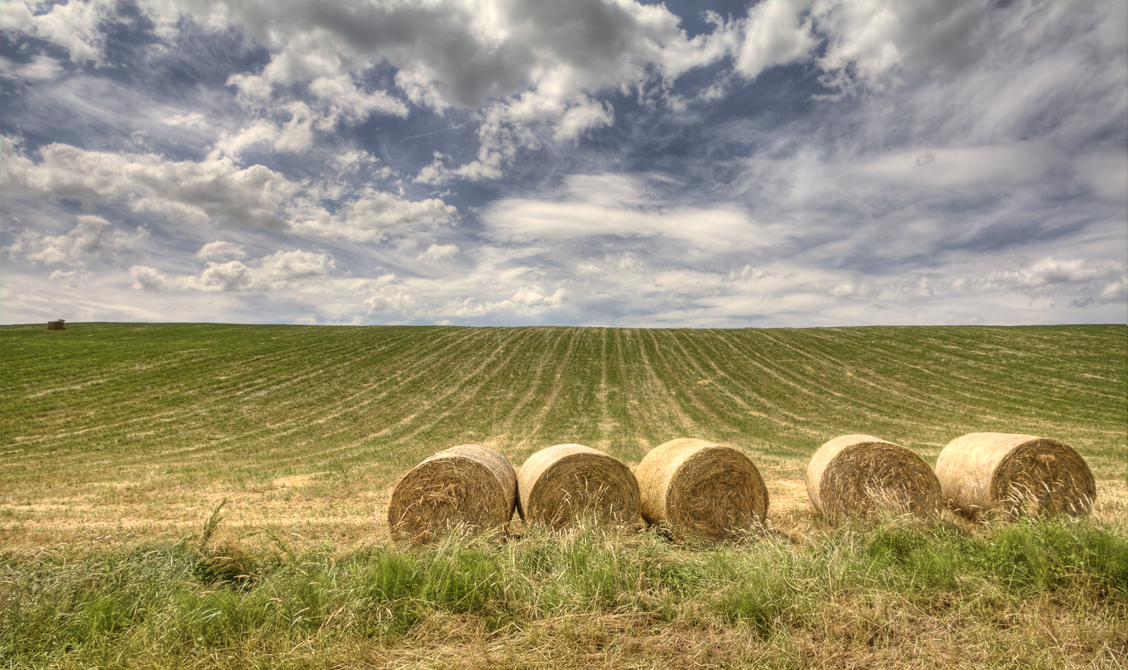 Tuscan landscape