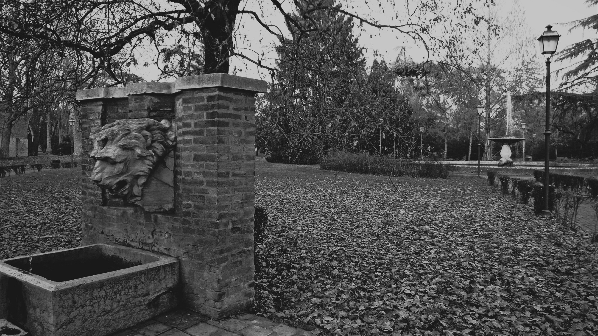 The fountains at the park Massari
