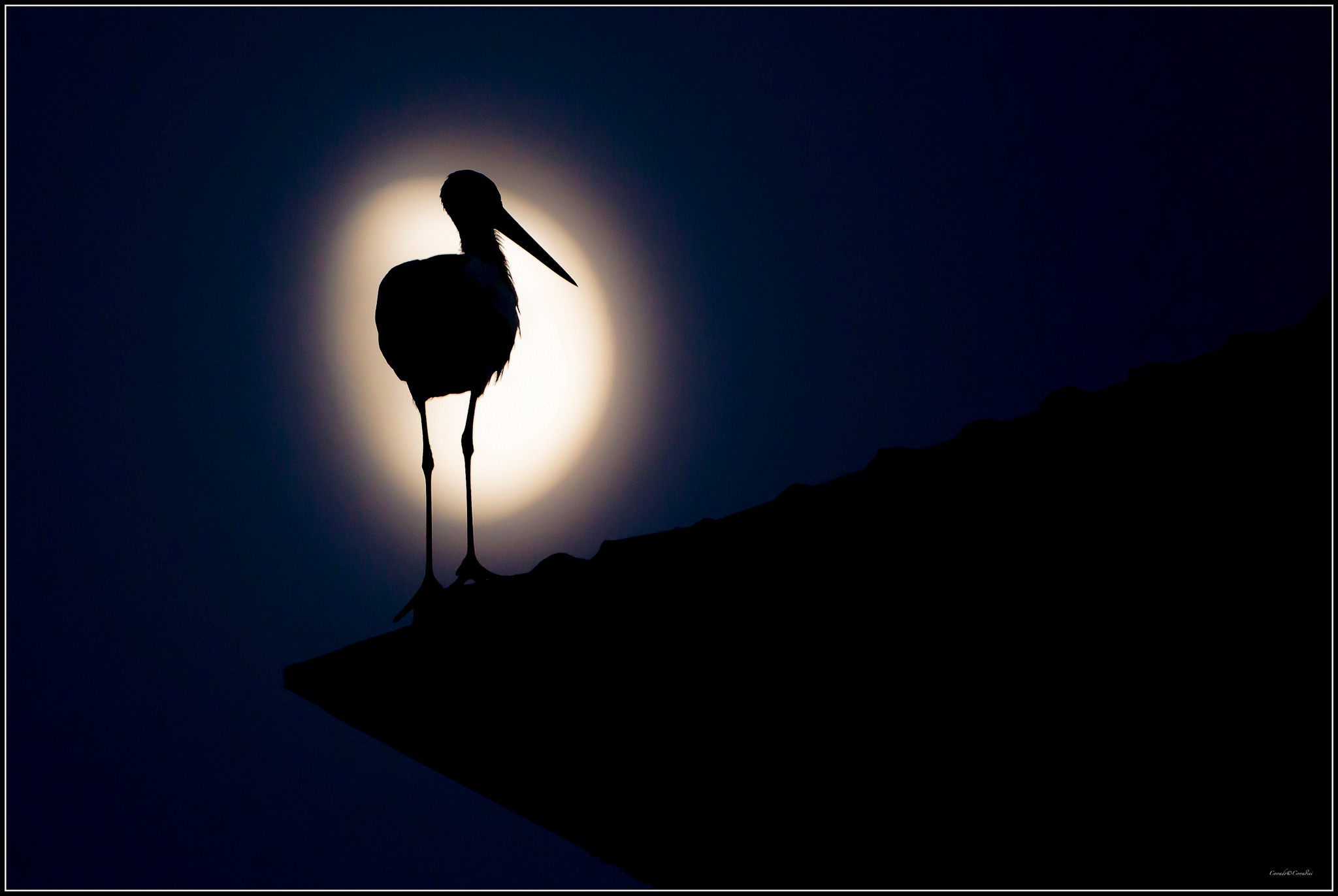 Punta a conquistare la luna. Se non ci sarai riuscito,
