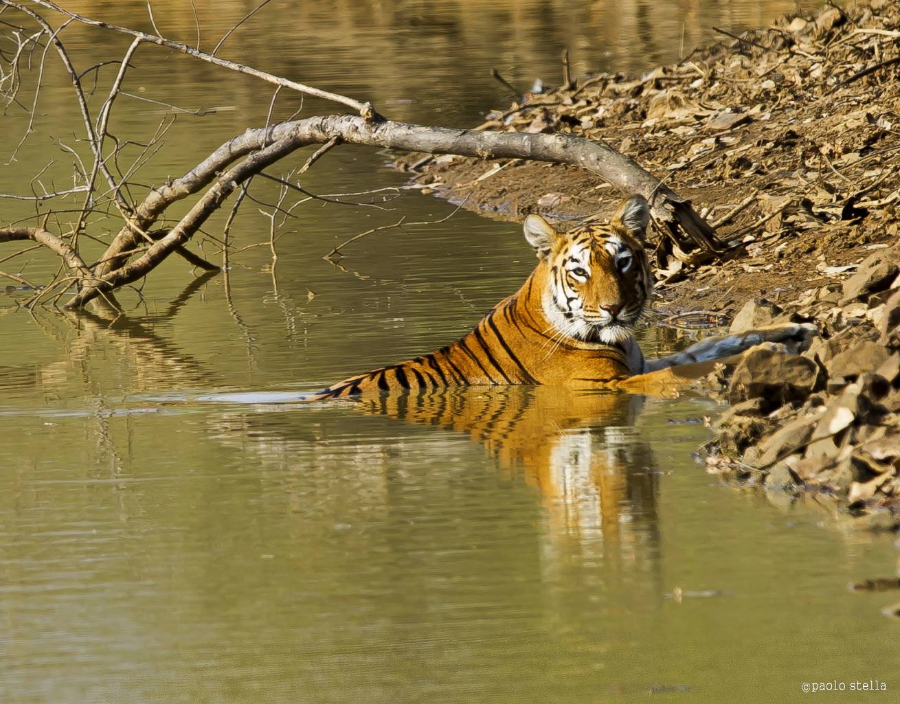 as here .... i wait for you