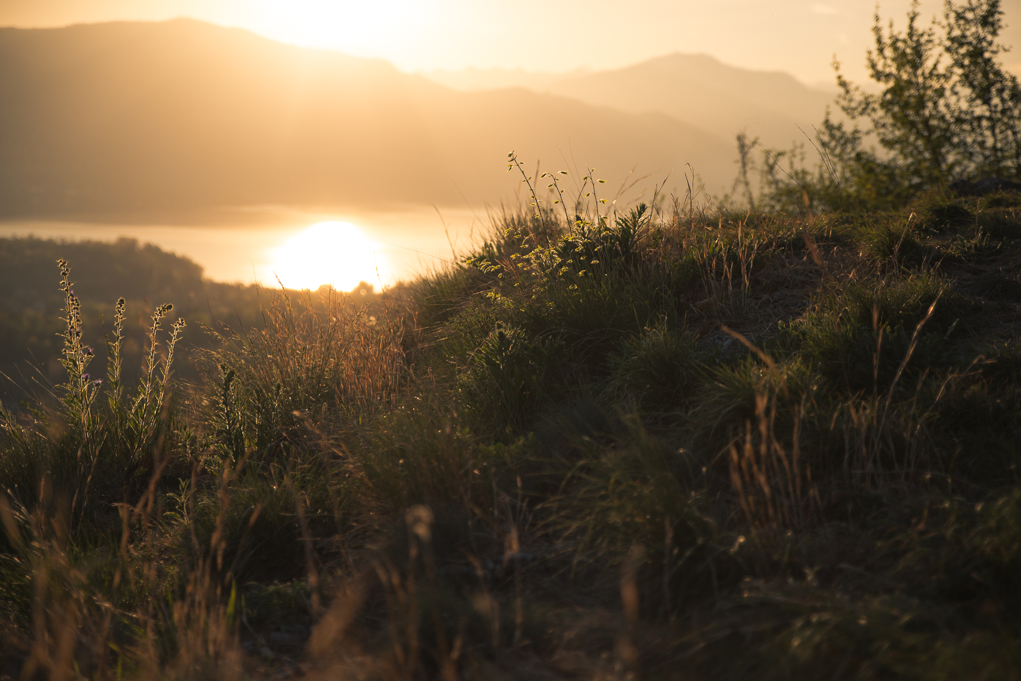 Calda accogliente luce