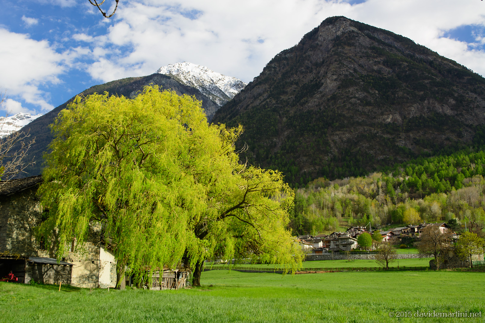 Campi in primavera, Fenis, Valle d'Aosta
