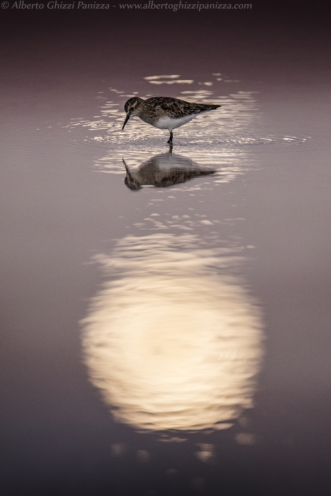 Mirroring in the moon