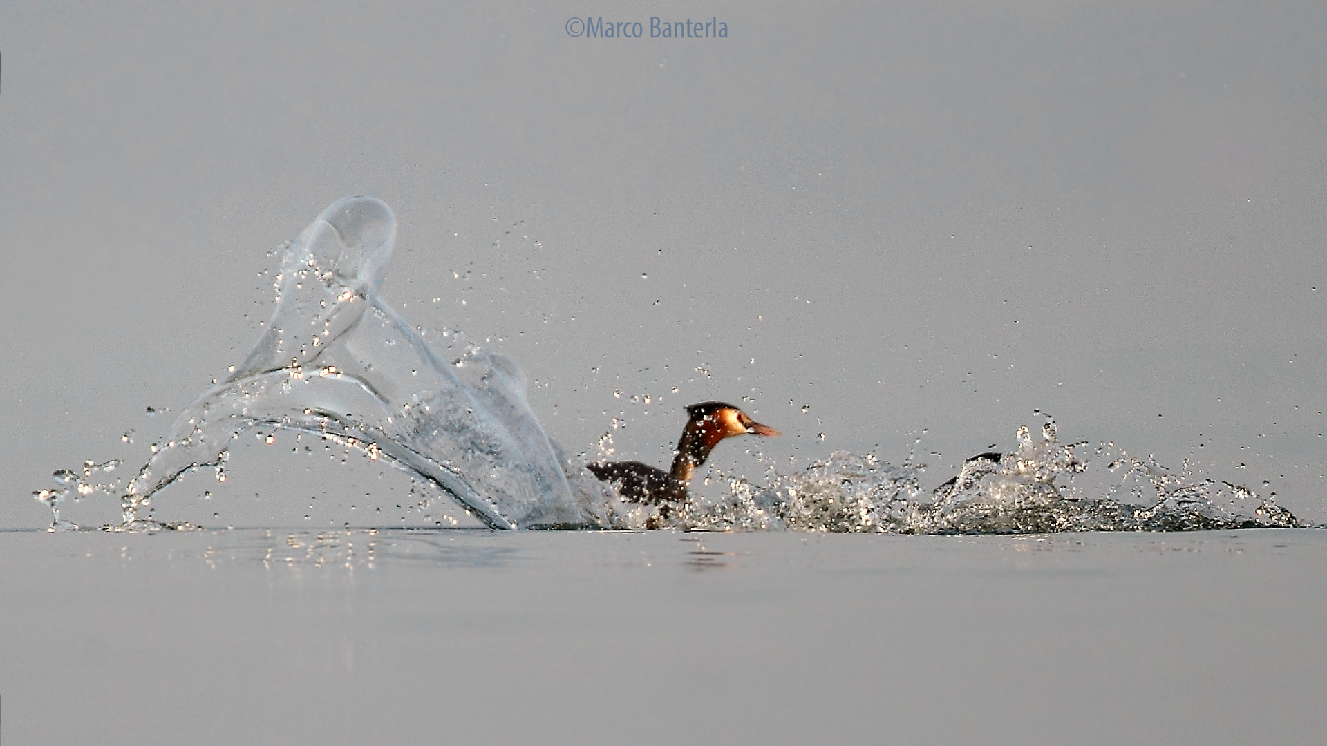 Svasso crea giochi d'acqua
