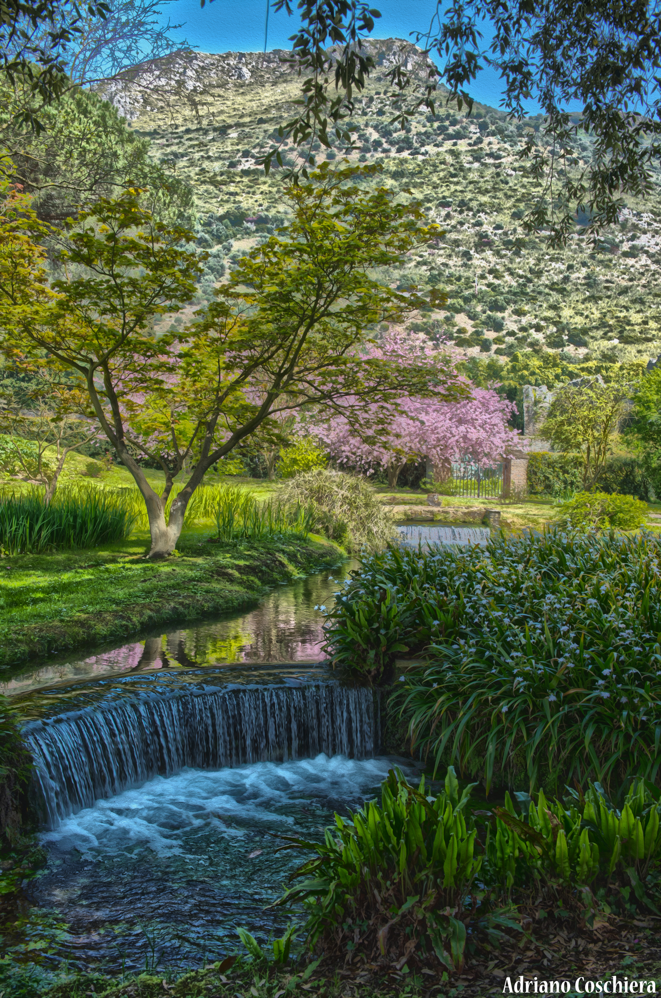 Ninfa #1