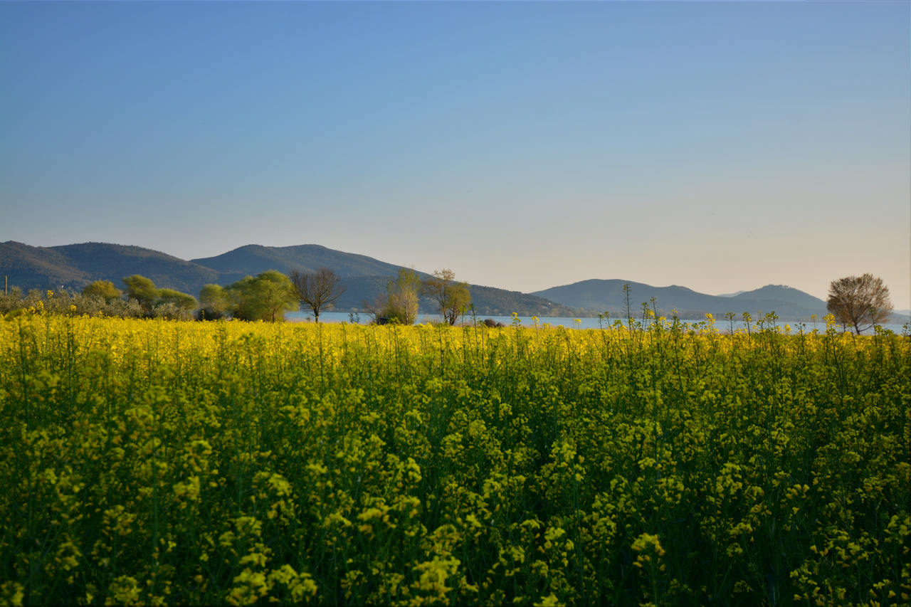 Lago Trasimeno di giorno