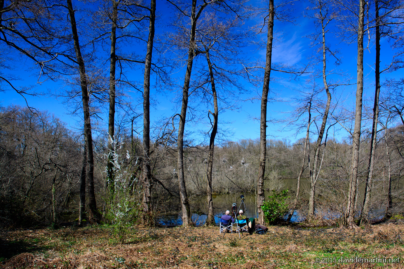 Professionisti in attesa