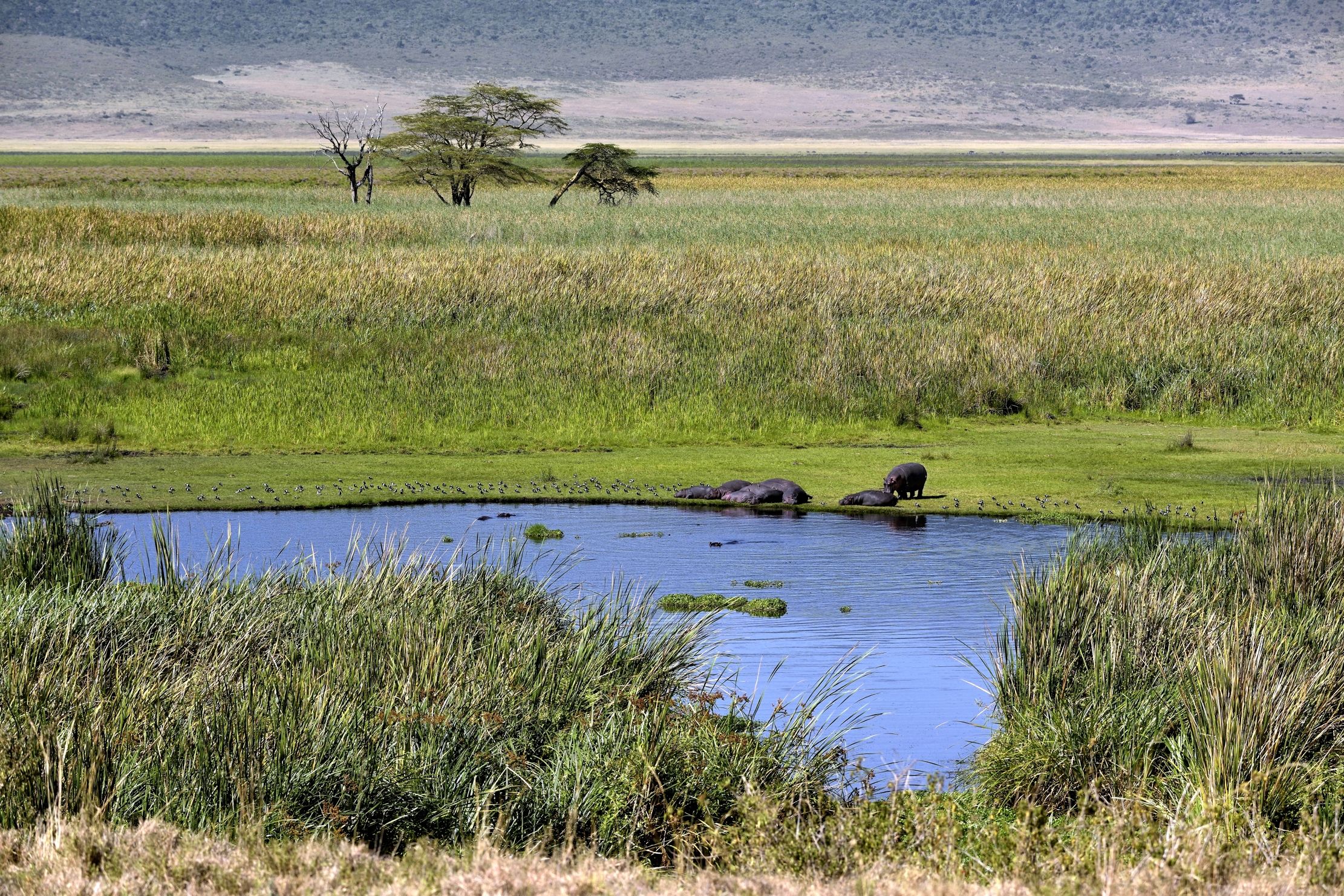 Tanzania 2015 - Ippo paradise 2