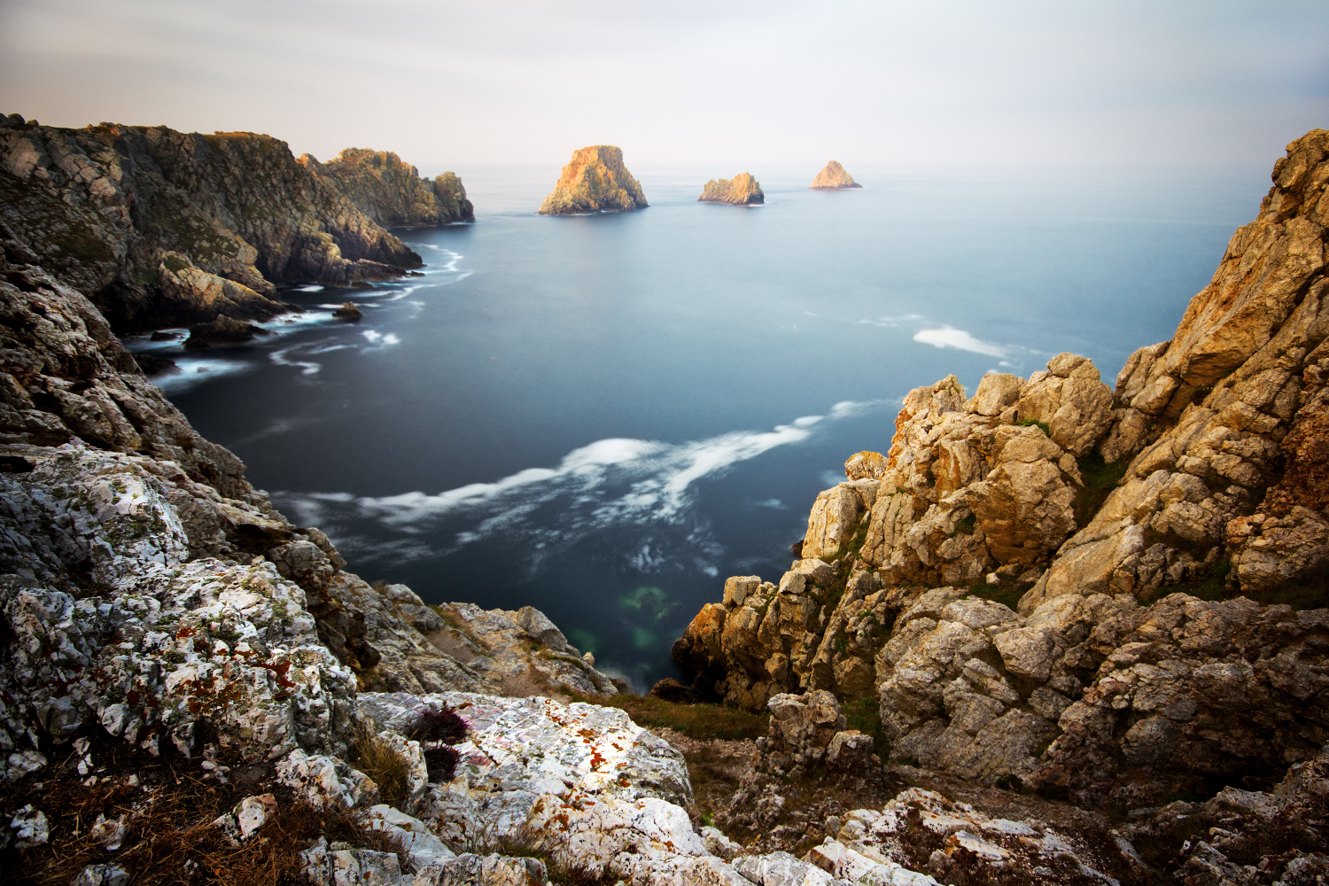 Tre piselli all' alba