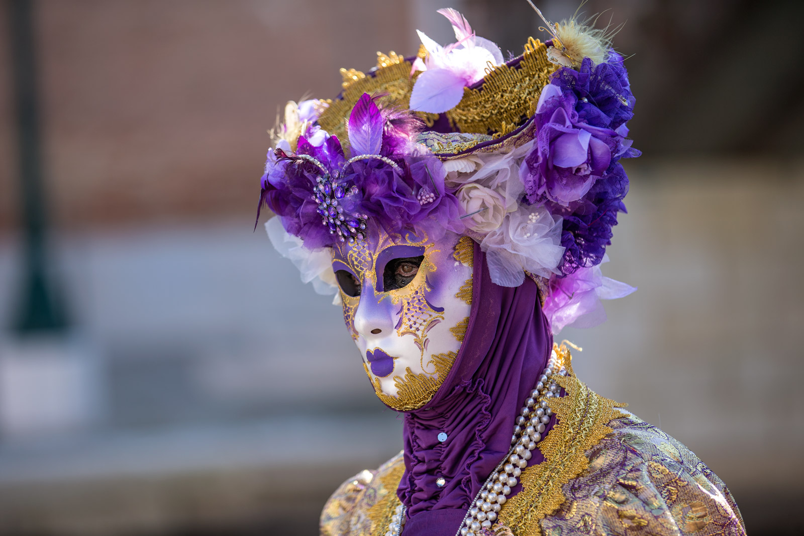 Venezia Maschera di Carnevale