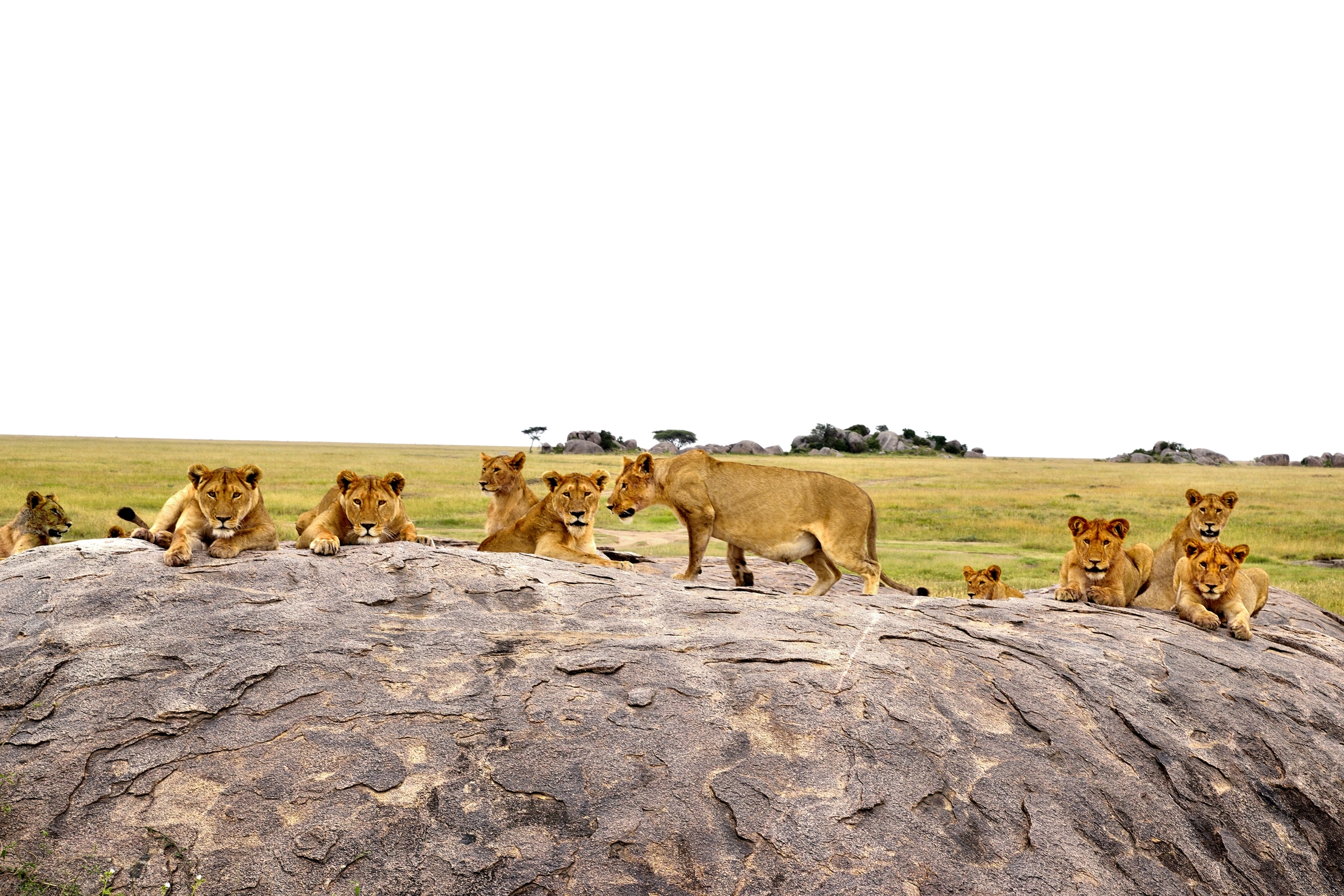 Tanzania 2015 - Incinta