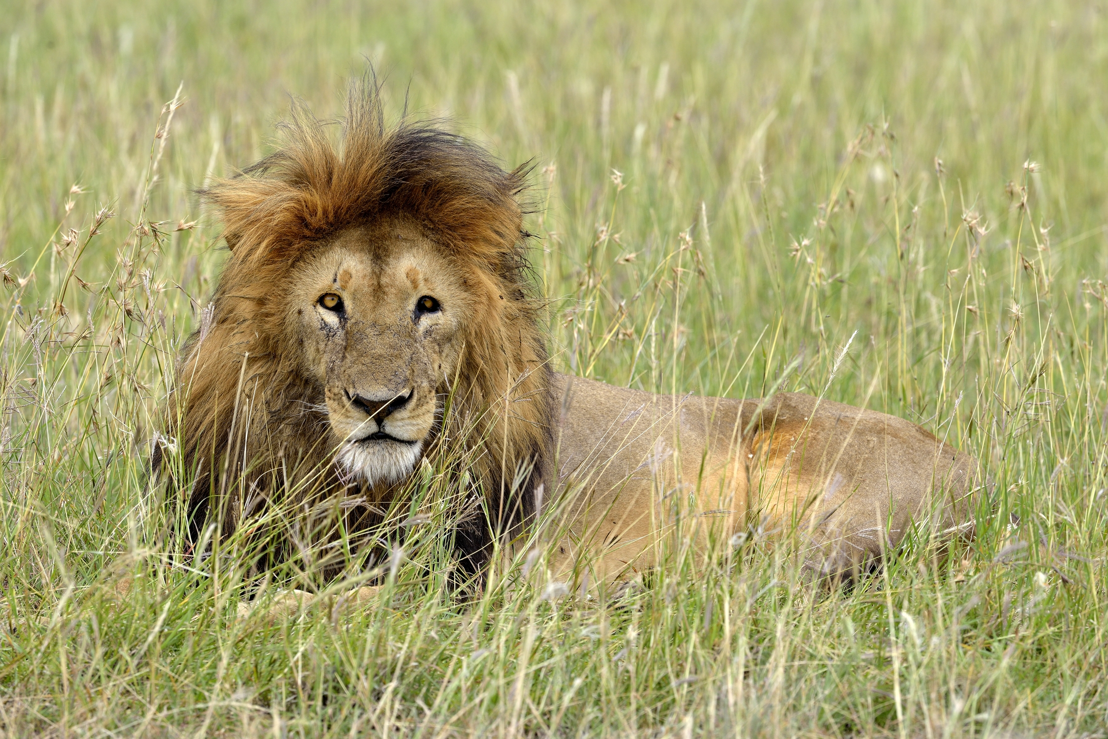 Tanzania 2015 - In posa